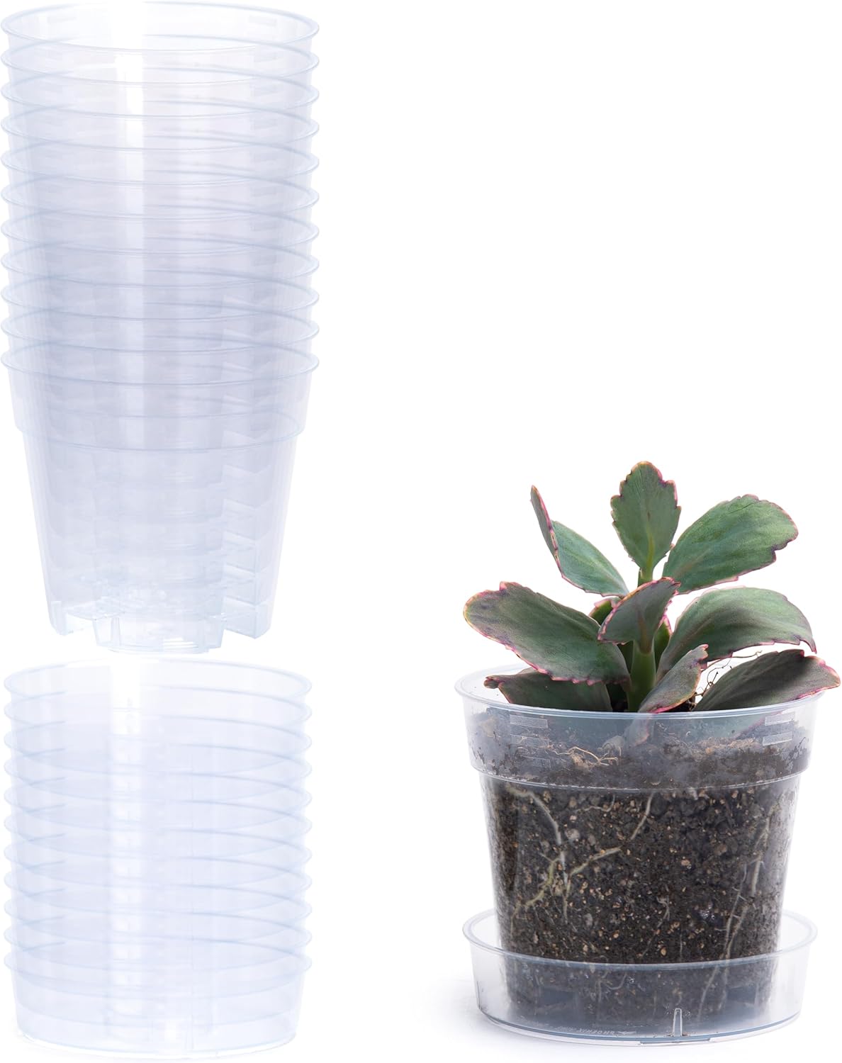 4 Inch Clear Plastic Plant Pot with Drainage Holes, Interlocking & Detachable Tray - Deep Saucer - Durable BPA-Free Plastic, Transparent Design, Raised Base for Airflow, Set of 12, 92-X-B-2