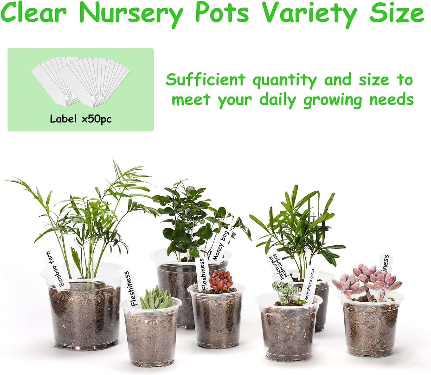 60 Pack 3.5/4/5 Inch Reinforced Clear Nursery Pots with Drainage Holes, Transparent Variety Pack Plastic Plant Pot Seed Starter Pots Flower Pots Come with 50pcs Plant Labels