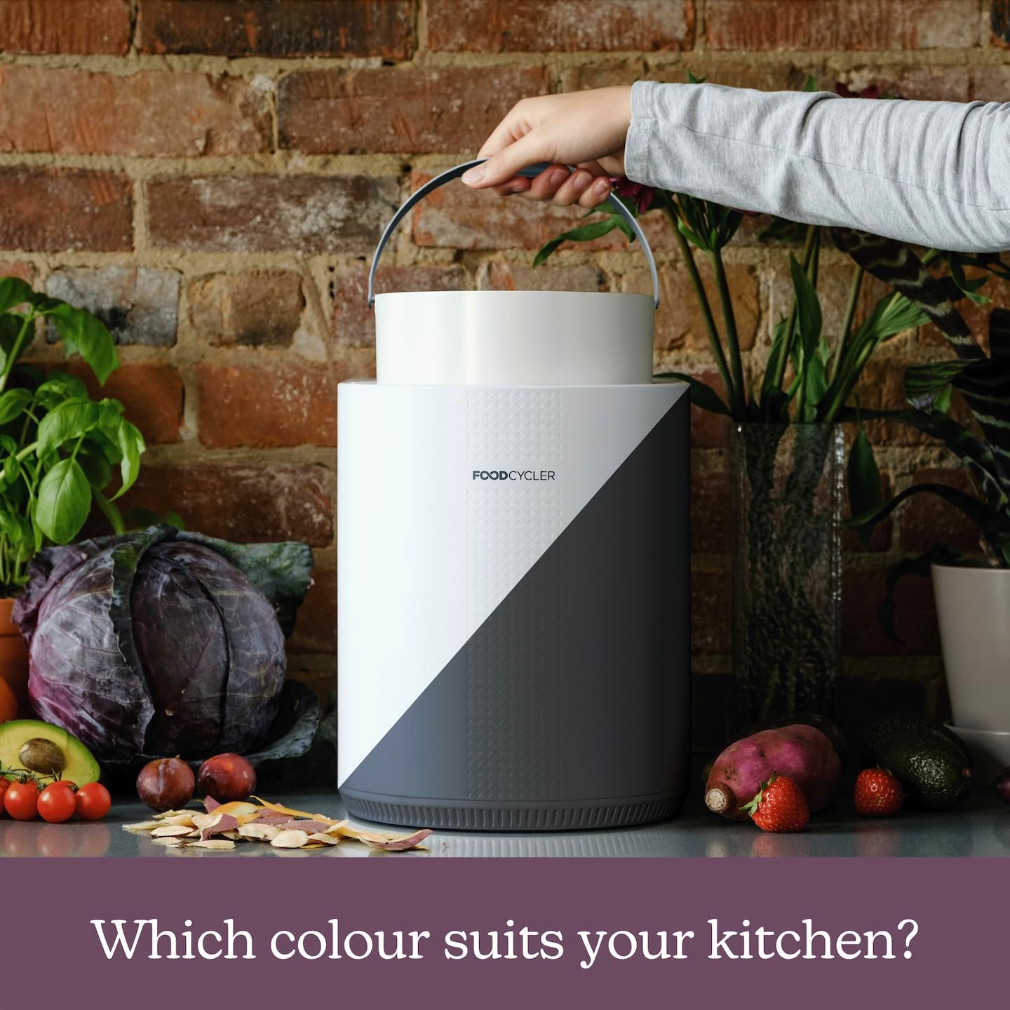 Eco 3 Compact Kitchen Food Recycler | Indoor Composter Bin Alternative | Electric Countertop Food Waste Disposer with Odorless 3.5L Indoor Food Waste Bin for Easy Waste Management | White