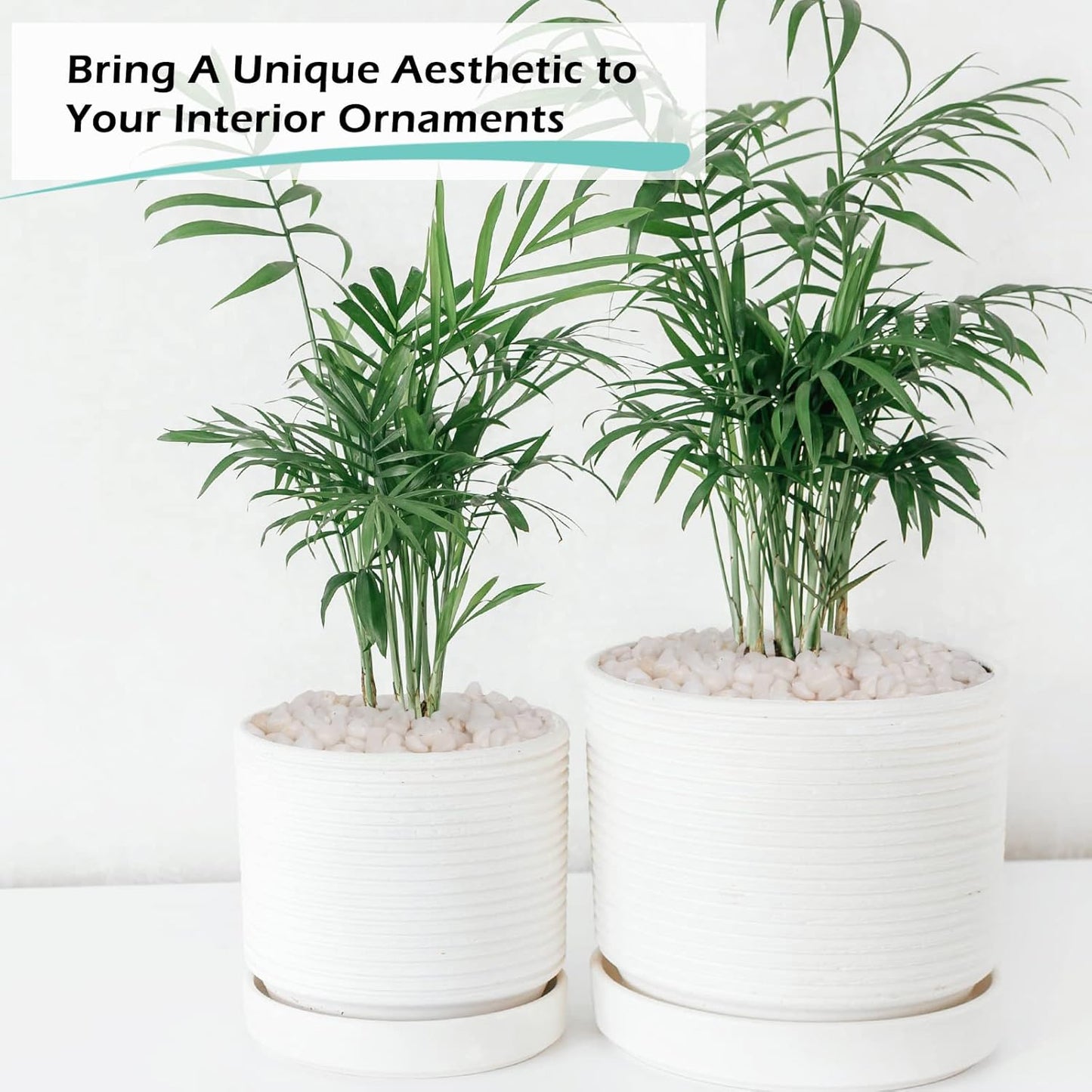 GASPRO 10 lbs White Pebbles for Plants, Vases, and Landscaping in Garden - Highly Polished 3/8" Small Rocks for Indoor and Outdoor Decor