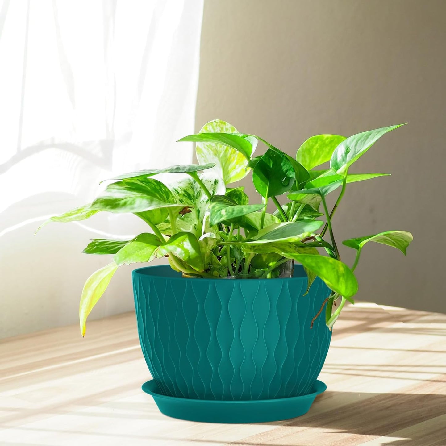 Plant Pots 12/10/9 Inch Pots, Set of 3 Plastic Planters with Drainage Holes and Saucers,Plastic Flower Pots,Nursery Planting Pot for Indoor Out Door Plants（Teal）