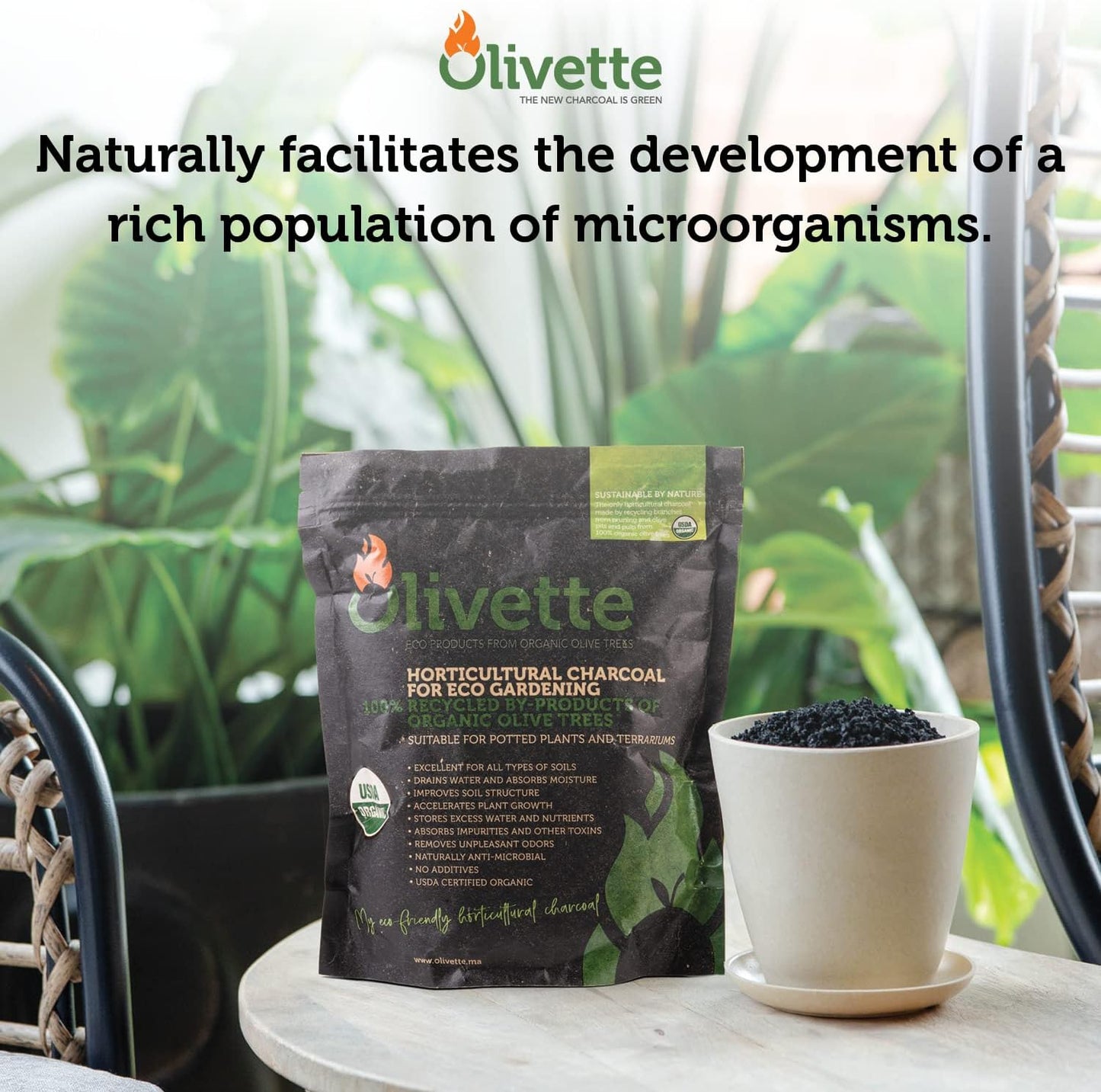 Olivette Horticultural Biochar Activated Charcoal for Plants, USDA Organic Moisture Control for Terrarium Trees & Potted Plants, Eco-Conscious, 1 Bag
