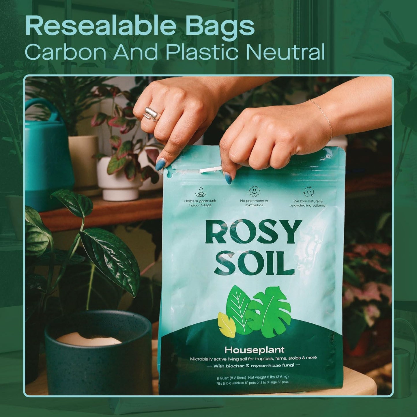 Rosy Soil Indoor Potting Soil for House Plants, 2 x 8 qrt - Organic Potting Soil Mix for Indoor Plants -Enriched w/Root-Boosting Biochar for Foliage Plants, Flowers, Herbs - Pack of 2