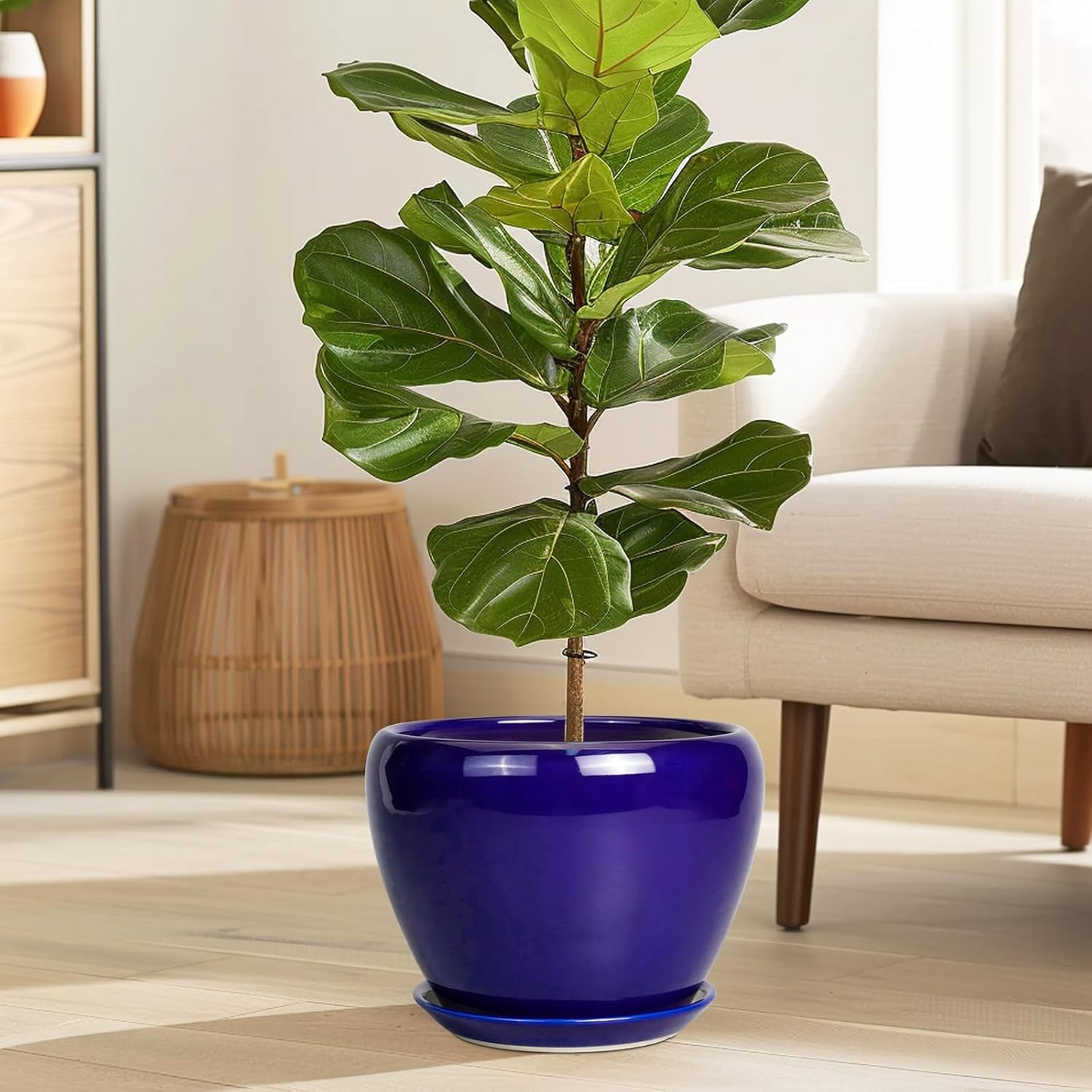 Ceramic Plant Pot 8 Inch - Planter for Outdoor Plants Indoor Plant Pot with Drainage Hole and Saucer Decorative Round Planter Modern Flower Pot for House Decor Blue