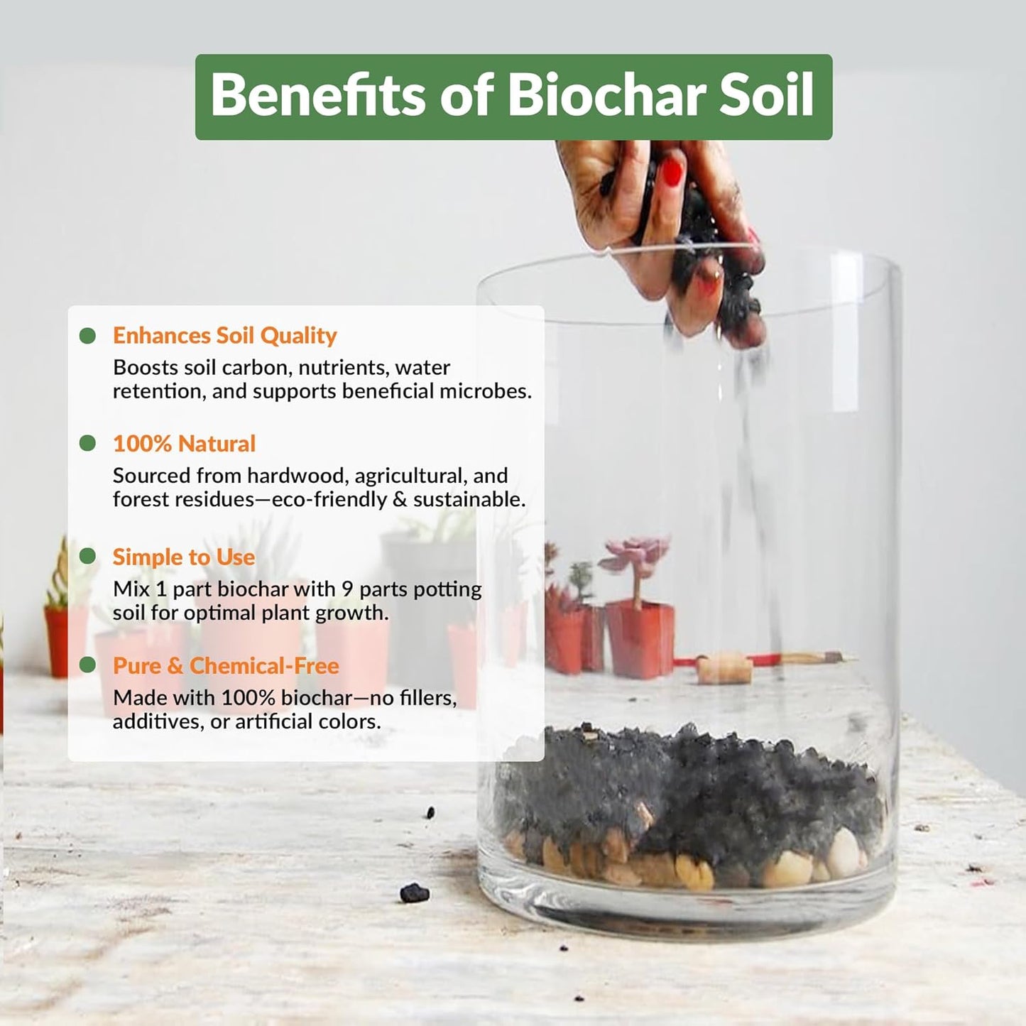 Premium Biochar Soil Enhancer – 100% Organic Charcoal Amendment for Improved Soil Health and Plant Growth (12 Quarts)