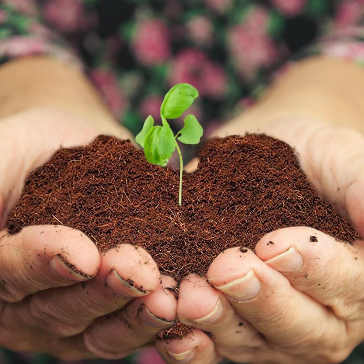 Home and Country Triple Washed Compressed Coco Coir Brick (20 LBS) - Coco Fiber is an Ideal Compost Starter for Your Home Garden. Coco Coir Bricks Provide Organic Alternative to Peat Moss for Plants.