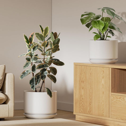 LE TAUCI Ceramic Pots for Plants, Set of 2, 10 + 12 Inch Plant Pot, Durable & Stylish Planters for Indoor Plants with Drainage Hole and Saucer, Elevate Your Home’s Aesthetic, White