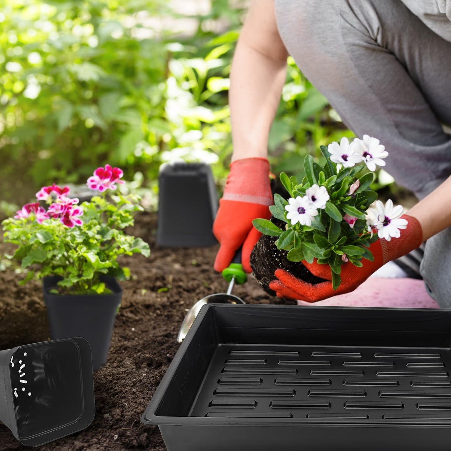 4 inch (10CM) Square Nursery Pots 60pcs, Sturdy Seedlings Trays 5 Pcs, Seeds Starter Germination Tray, Microgreening Planter Nursery Propagation 5 Sets