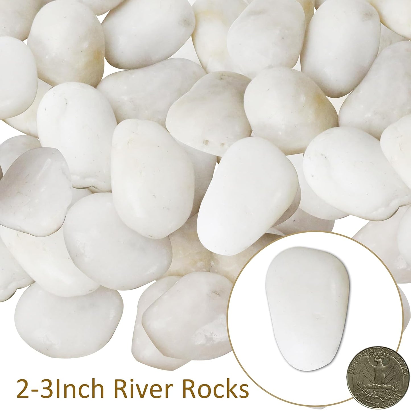 Sunnyglade 40 LBS White River Rocks, 2-3 Inch Natural Pebbles for Indoor Plants, High Polished Decorative Stones Vase Filler Fish Tank Aquariums Landscaping Garden Outdoor and Indoor DIY (40 Pounds)
