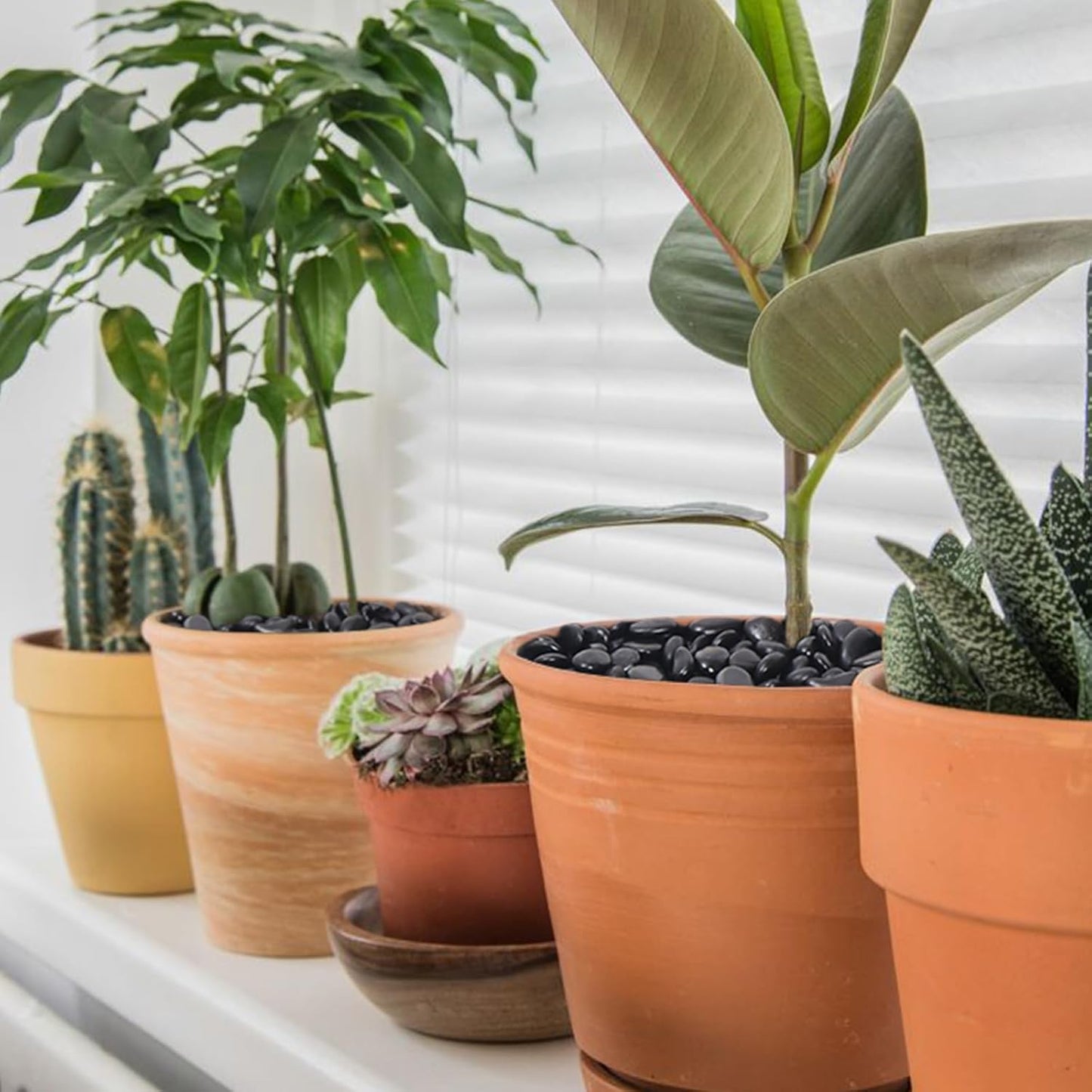 5LB Black Pebbles for Indoor Plants, Vases, Succulent, 3/8 Inch Small Black Rocks for Plants, Polished & Decorative