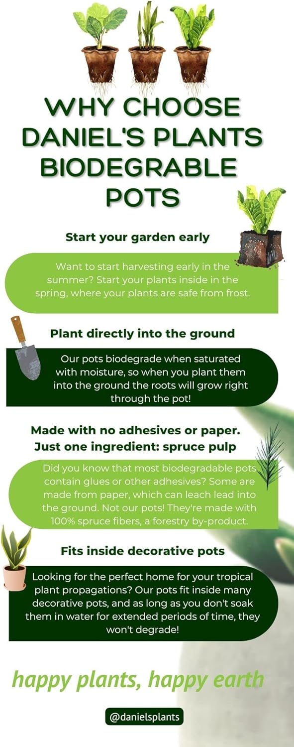 Daniel's Plants 2" Naked Pots Seedling Trays | Natural Plantable Seed Starter Trays | OMRI-Listed Biodegradable | Earth Friendly Contains No Peat | 100 Cell 2 Inch Tray (100, 2 Inch Tray)