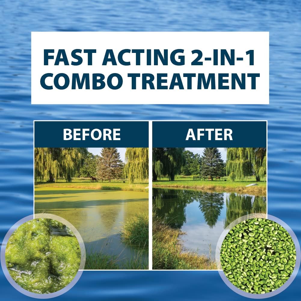 Airmax Knockdown Defense 2-in-1 Liquid Pond Algae Control, Effective & Fast Acting Algaecide, Aquatic Weed Treatment for Clear Water in Ponds & Lakes, Liquid Formulation for Easy Use, 16 fl oz