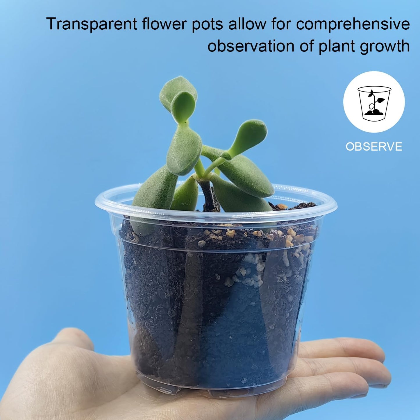 100 Pack 2.8 Inches Clear Plant Pots with Drainage Holes, Transparent Seeding Nursey pots, Round Plastic pots for Seeds Starter, Seeds Germination
