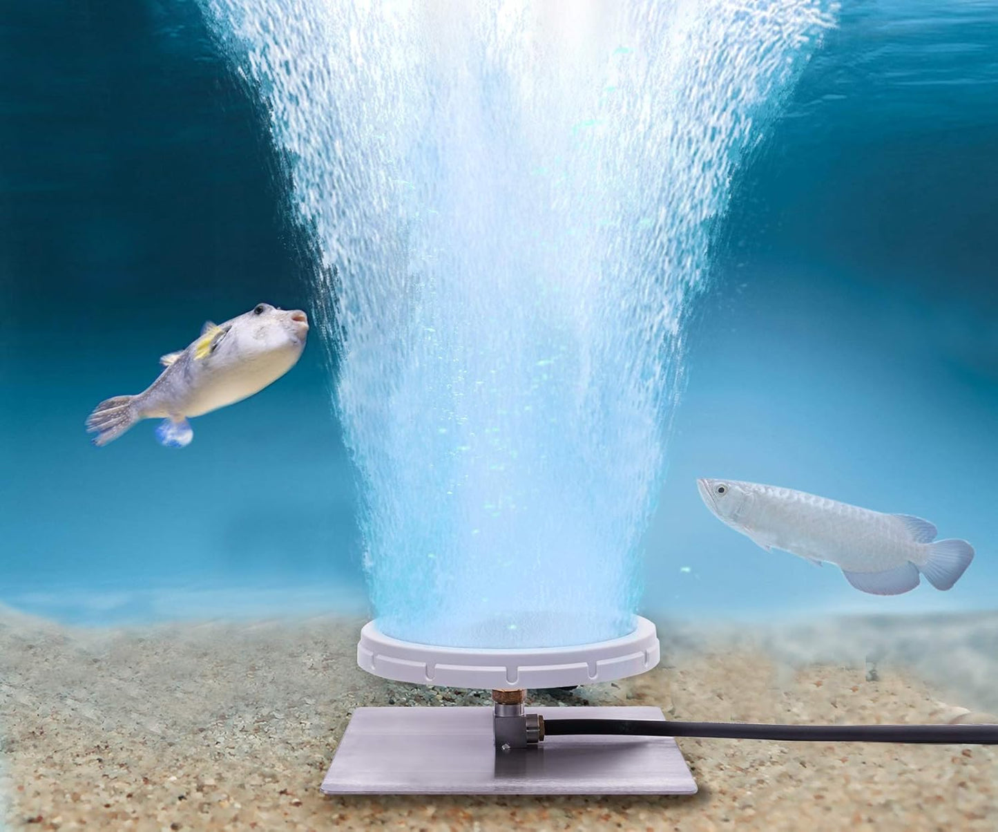 HQUA PAS10 Pond & Lake Aeration System for Up to 1 Acre, 3/4 HP Compressor + One 100' Weighted Tubing + One Diffuser