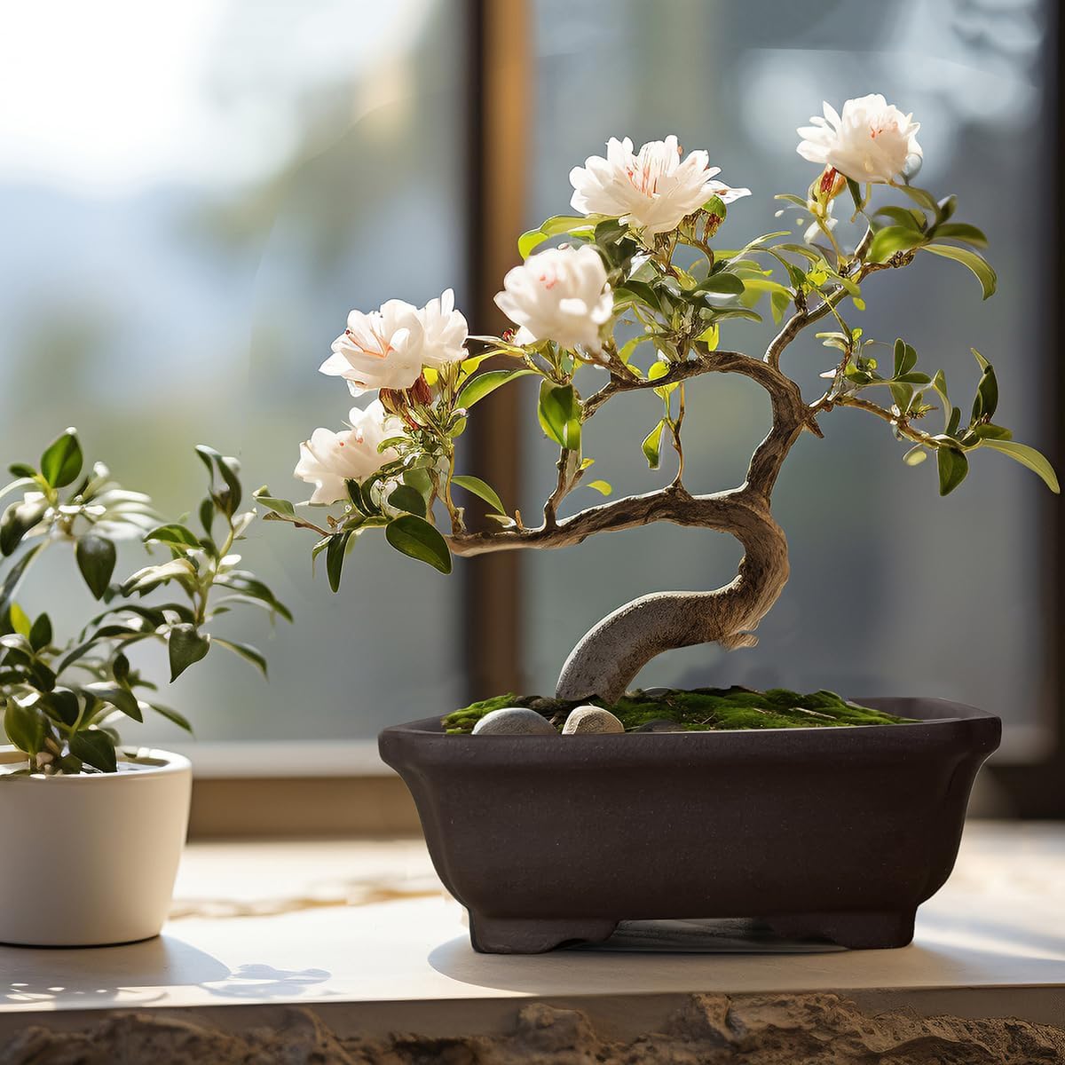 MUZHI 2PACK Unglazed 6” Ceramic Bonsai Pot with Humidity Trays, Breathable Handmade Rectangle Bonsai Starter Planter for Bonsai Tree, Juniper,Ficus, Money Tree