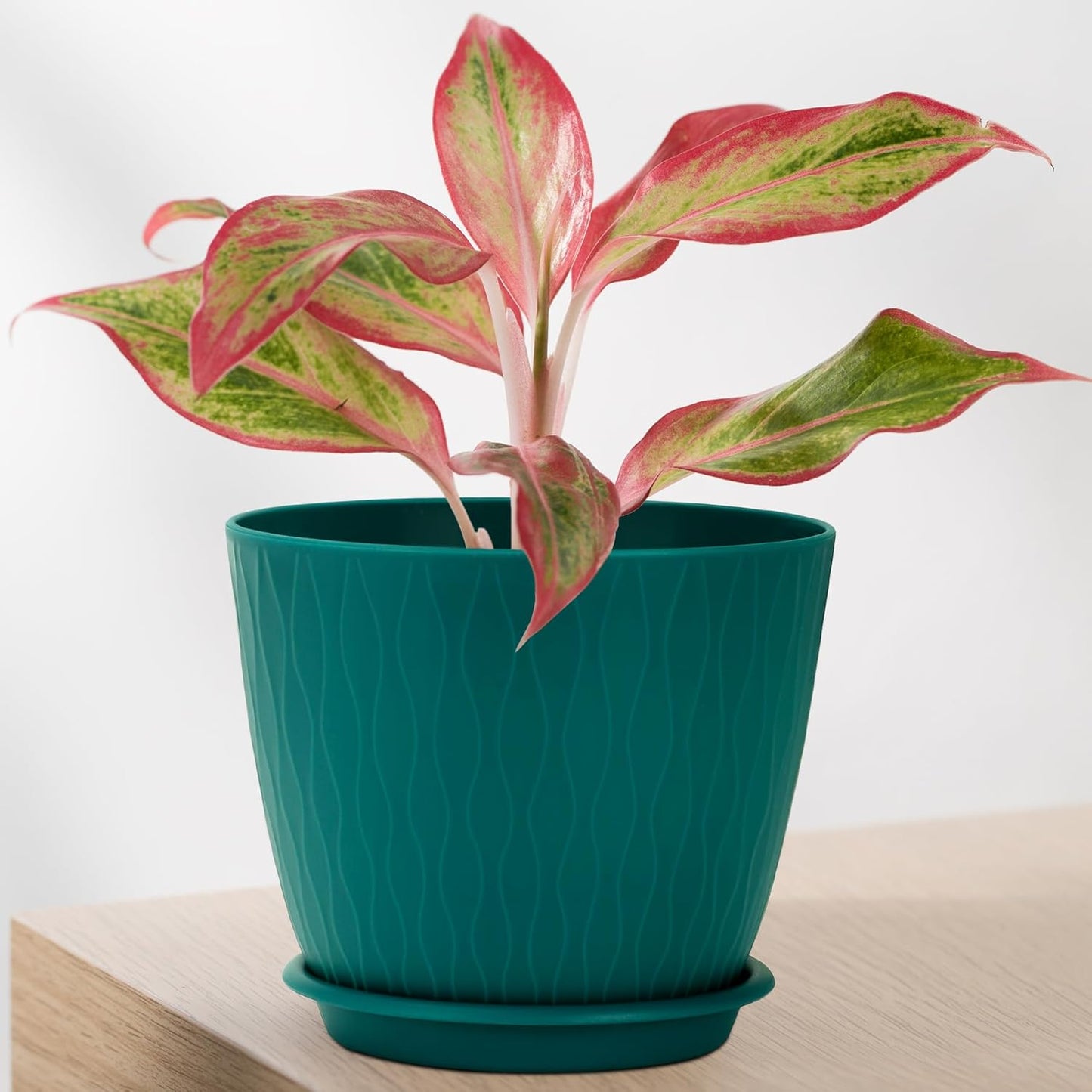 Plant Pots – 6 Inch Planters with Drainage Holes and Saucers, Flower Pots for Indoor and Outdoor Plants, Nursery Planting Pots (Pack of 5, Multicolor)