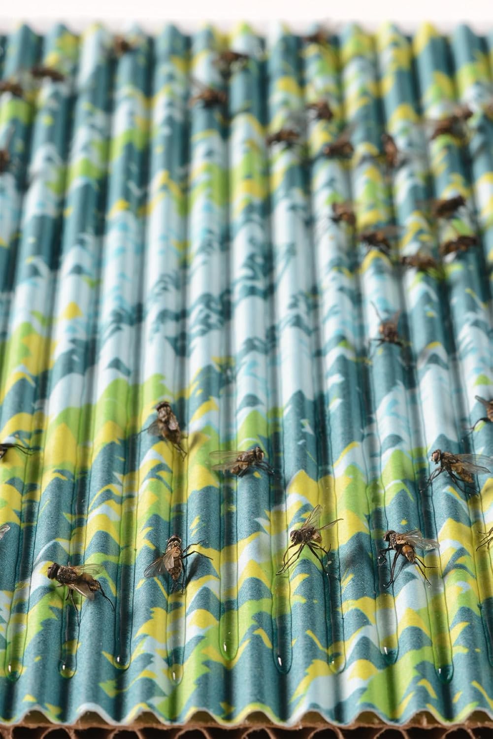 RESCUE! FlyPad – Sticky Fly Traps for Indoor & Outdoor Use - 4 Pack (8 Traps)