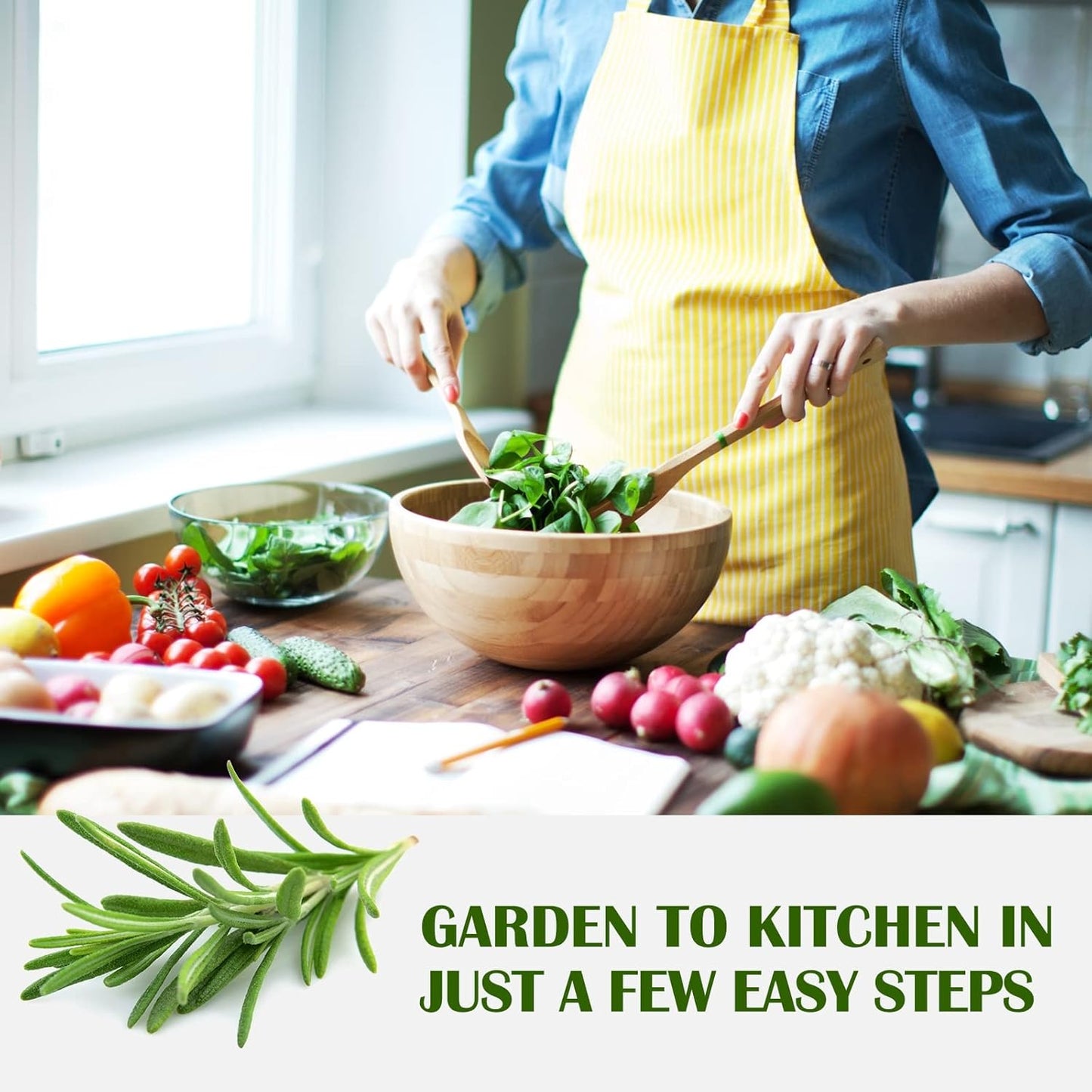 10 Kit Non-GMO Growing into Thyme, Lavender, Chamomile, Dill, Chives, Cilantro, Rosemary, Basil, Parsley, Sage Indoor/Outdoor for Kitchen Windowsill Gardening Gift