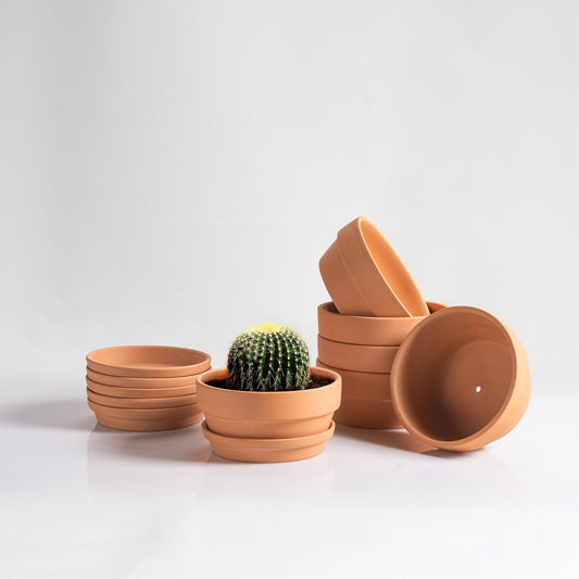 Shallow Terracotta Pots 5 inch, Pack of 6 Clay Pots for Plants with Drainage Holes and Saucers, Mini Nursery Plant Pots for Seed, Succulents, Cactus, Indoor,Outdoor