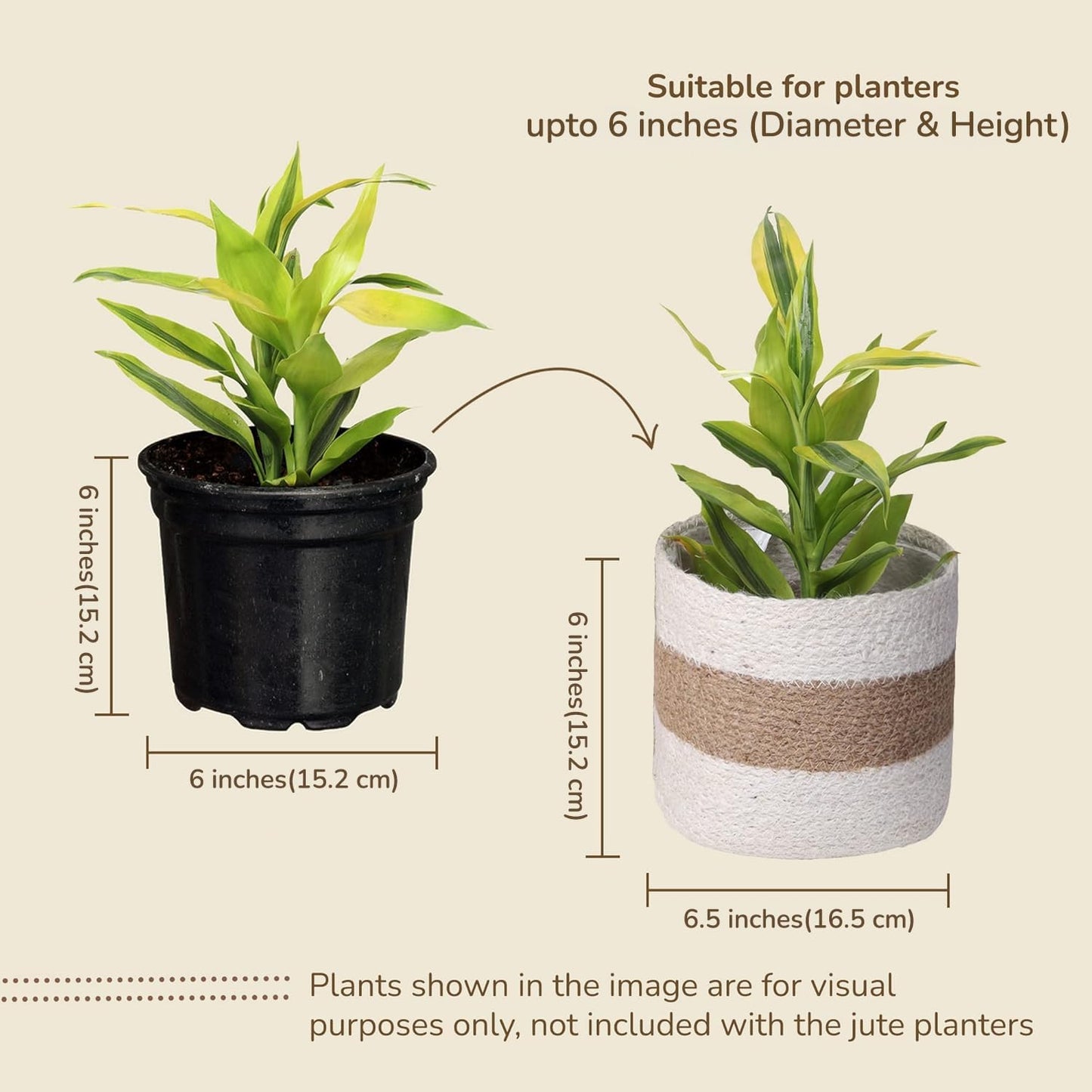 Jute Planter Basket Sustainable Woven Rope Covers for Decorating Indoor/Outdoor Plants Pots 6.5x6.5x6 Inches Ideal Size for 6" Planter-Multi-Purpose Storage Set of 4 White & Natural Jute