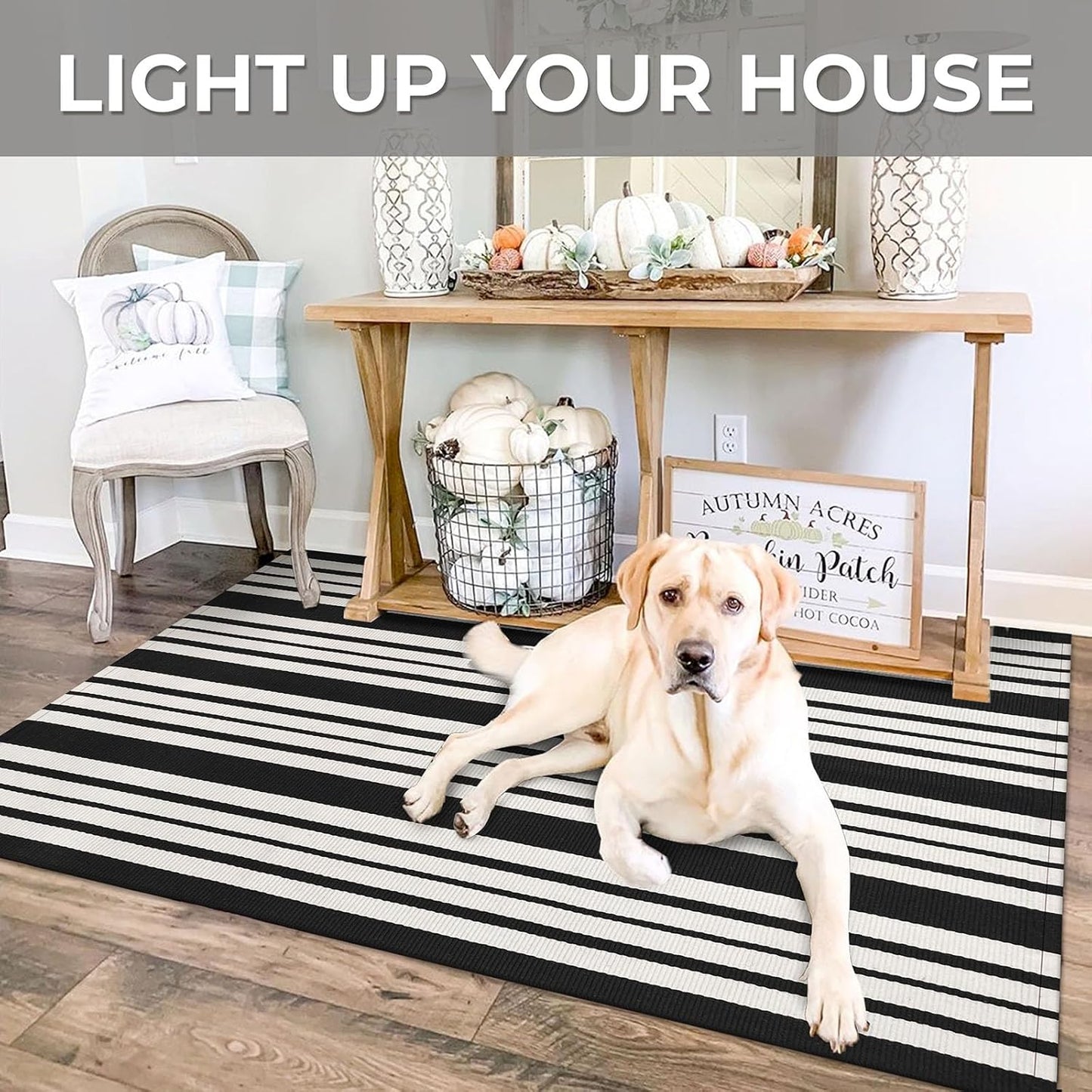 IOHOUZE Black and White Striped Rug 3'x5' Front Door Rugs Outdoor, Washable Area Rug for Front Porch, Spring Summer Doormats Outdoor Indoor, Cotton Rugs for Entryway Porch Entrance