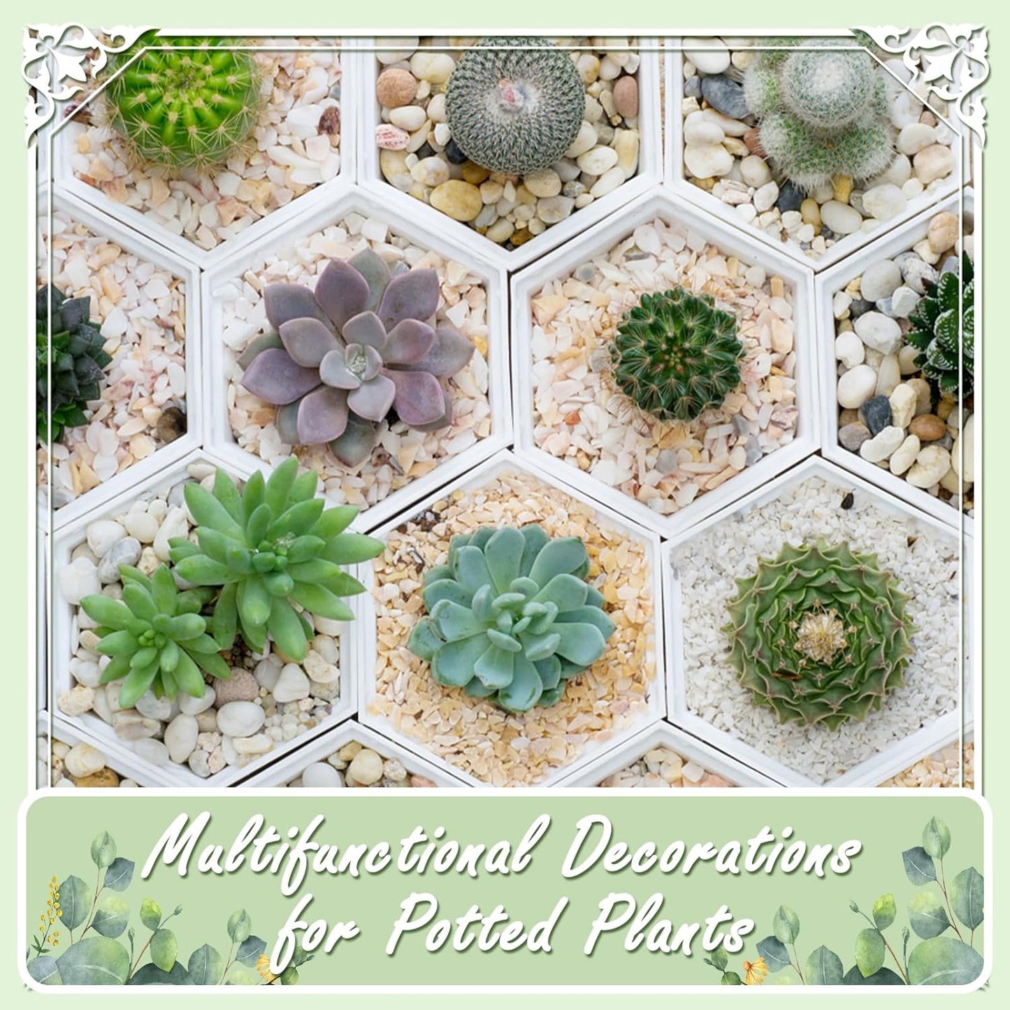 5lbs Natural River Rocks, Polished Pebbles for Plants Garden, 0.3-0.8 inch Decorative Peach Stones, Ideal for Fish Tank, Vases, Crafting, Home Decor and Garden Landscaping Rocks,Peach