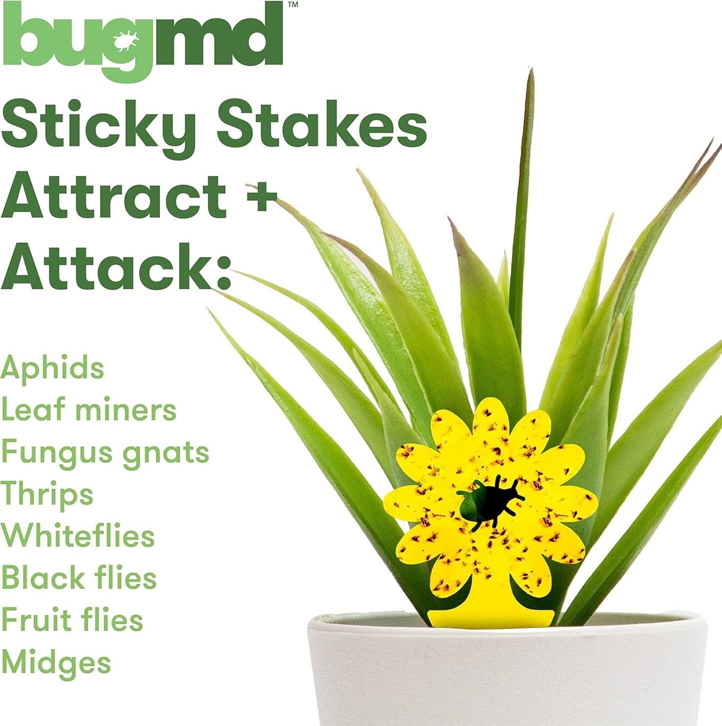 BugMD Sticky Bug Traps (12 Pack) - Indoor Fruit Fly Killer, Fungus Gnat Killer, Plant sticky traps for Bugs, Yellow Sticky Fly Traps for Plants, Gnat for Plants, Odorless