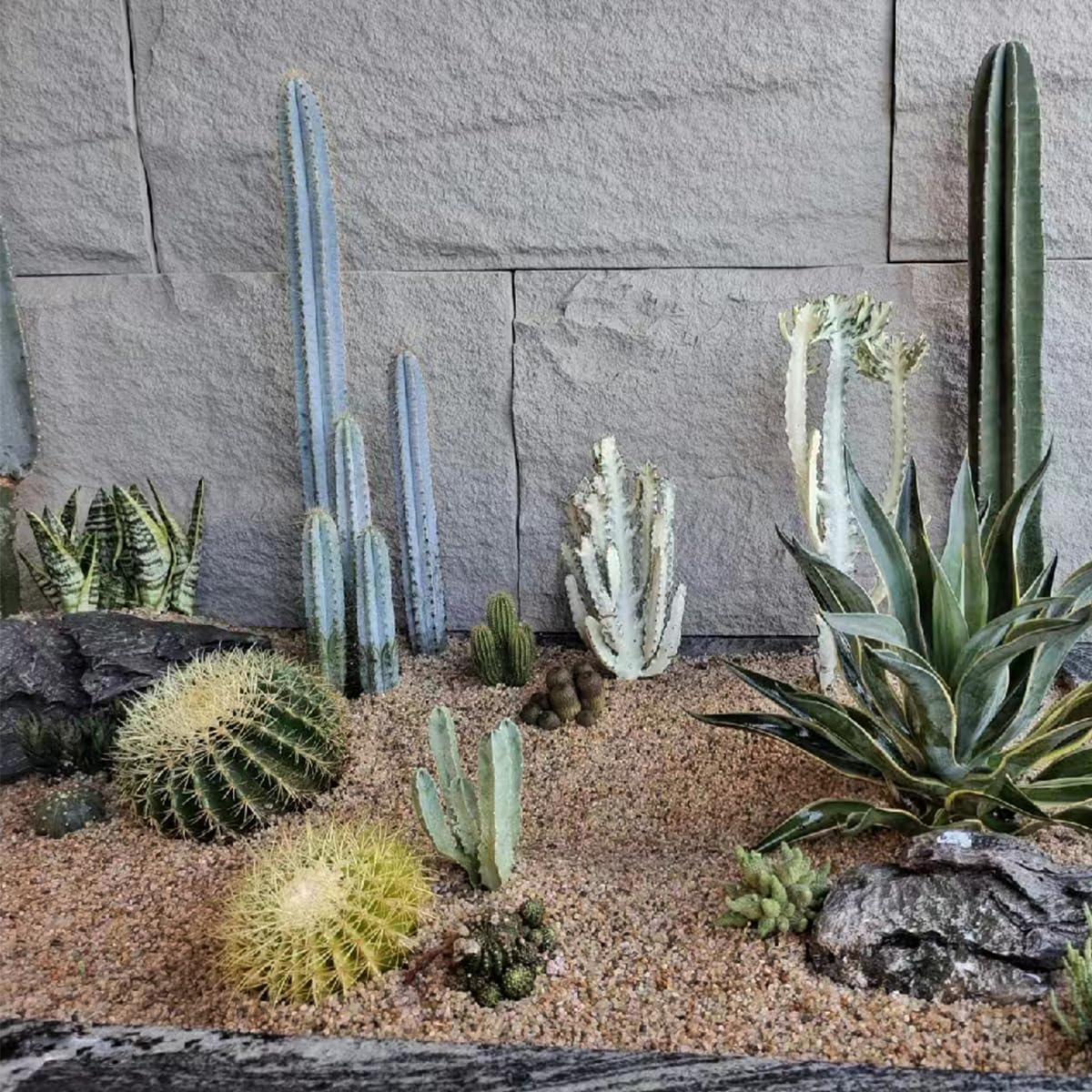 10lbs Aquarium Gravel, 1/8"(2-4mm) Natural River Rocks Succulent Cactus Pea Gravel for Plants, Fish Tank, Decorative Pebbles for Gardening, Flower Pots, Vase Fillers, Landscaping