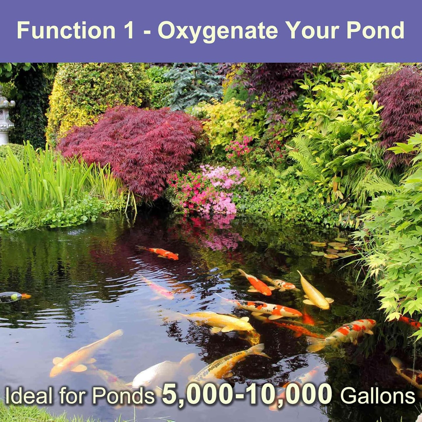 AquaMiracle Koi Pond Aerator Pond Air Pump with Self-Sinking Airline Rubber Air Diffuser, Air Flow Control Pond Deicer All-in-One Pond Aeration Kit for Outdoor Pond 5,000-10,000 Gallons