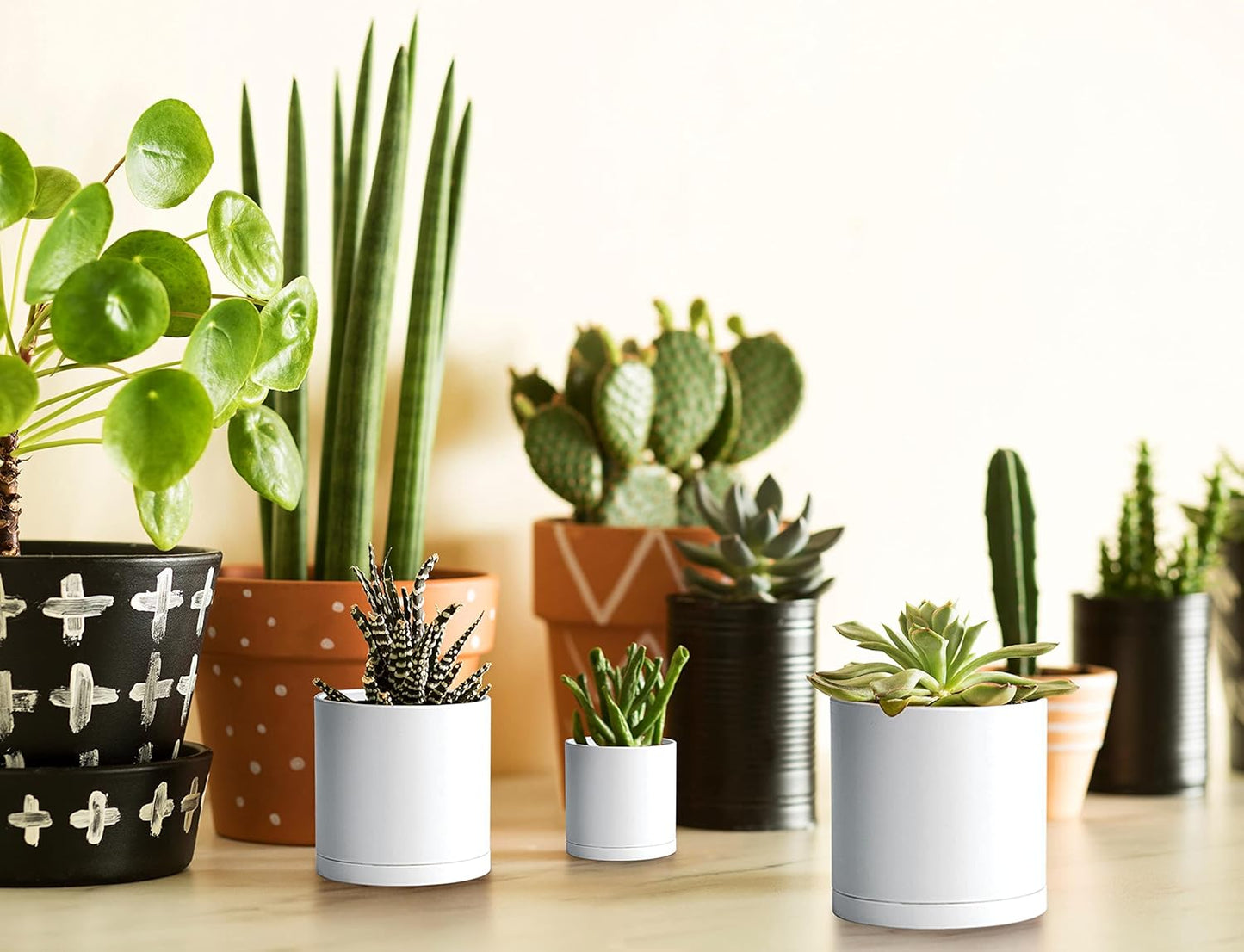 D'vine Dev Pack of 36 Plastic Plant Pots (12 Set of 2 Inch, 2.5 Inch, 3 Inch) Small Garden Planter Pots for Plant with Drainage Holes and Saucers, White, 74-T-A