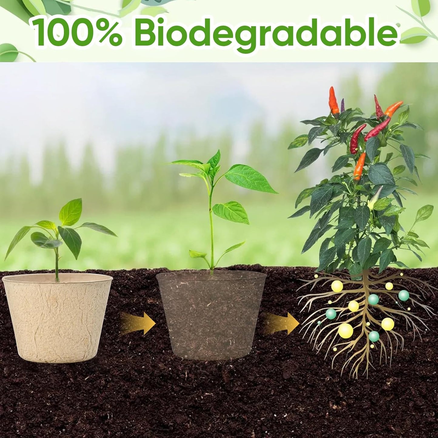 4” Peat Pots with 60Pcs Plant Labels, Biodegradable Pots for Seedlings with Drainage Holes, Garden Plant Nursery Pots Seed Starting Trays