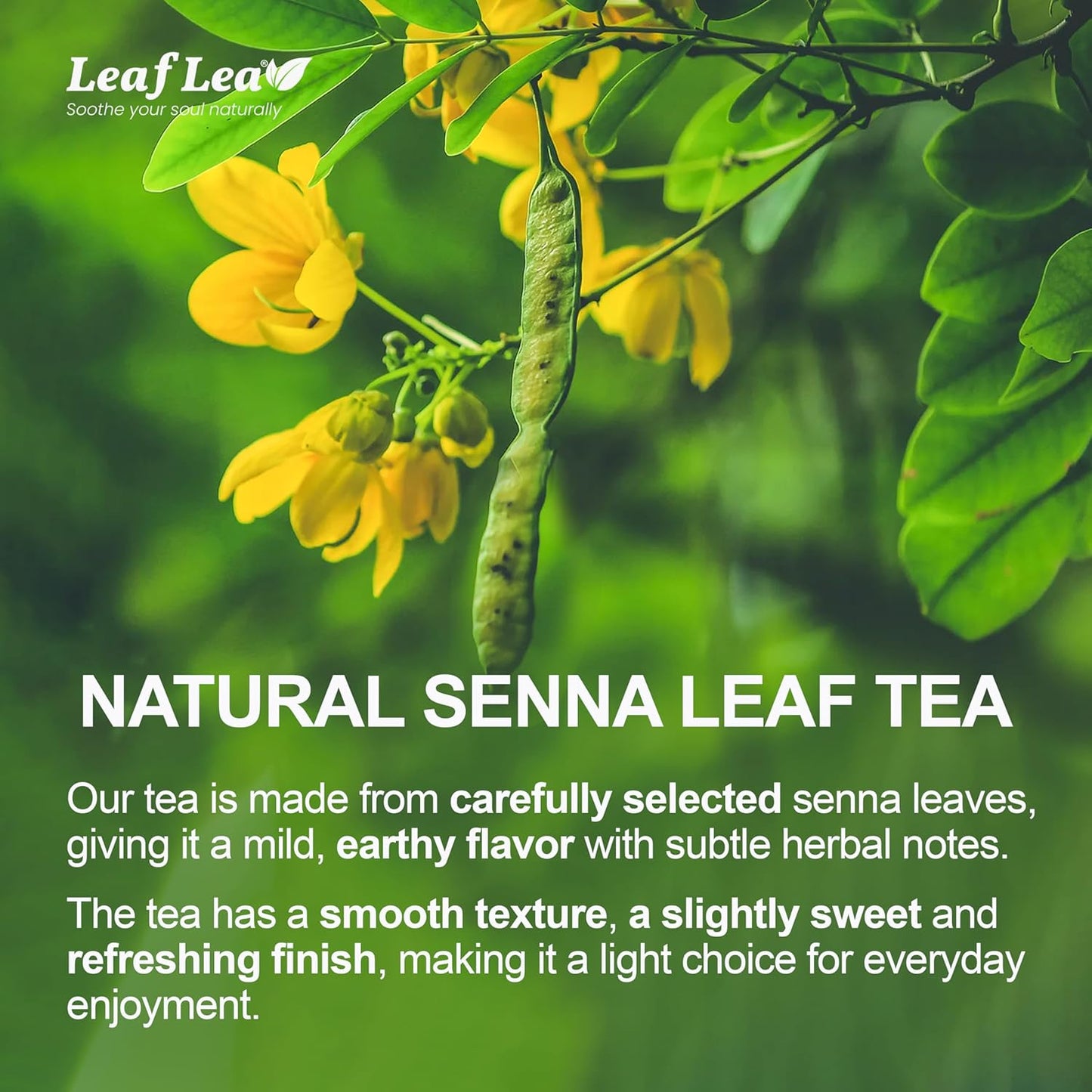 LeafLea 120 Senna Tea Bags – Pure Senna Herbal Laxative Tea, Naturally Supports Constipation Relief & Digestive Cleanse, Caffeine-Free, No Sugar, No Gluten, Non-GMO, Vegan, Individually Wrapped