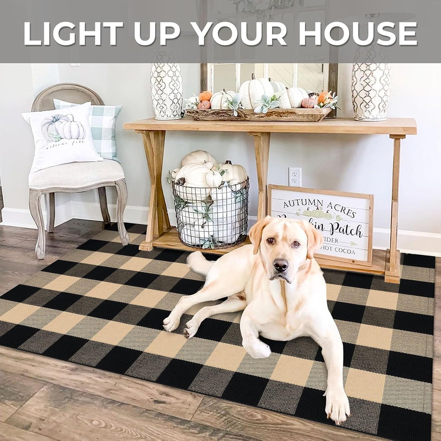 IOHOUZE Buffalo Plaid Checkered Rug 3x5 Ft Front Door Mats, Washable Area Rugs for Front Porch, Welcome Mats Indoor Outdoor, Entryway Rug for Entryway, Home Entrance, Tan Black