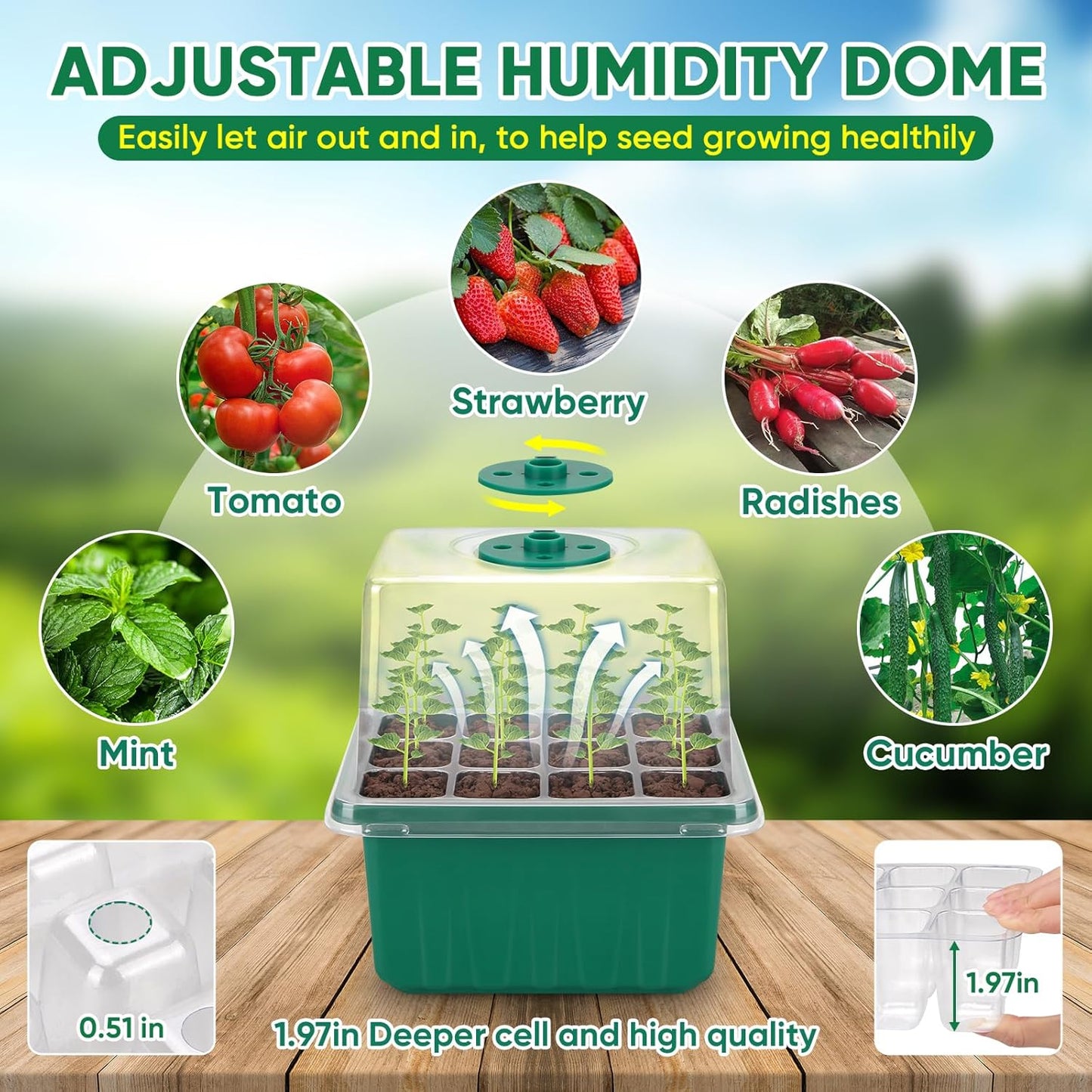 BlumWay Self-Watering Seed Starter Tray Kit with Grow Light and Humidity Dome,3 Color Growing Light,5-Pack 60-Cell Plant Seedling Tray,Reusable Plastic Germination Trays,Timed Light Plant Starter Set