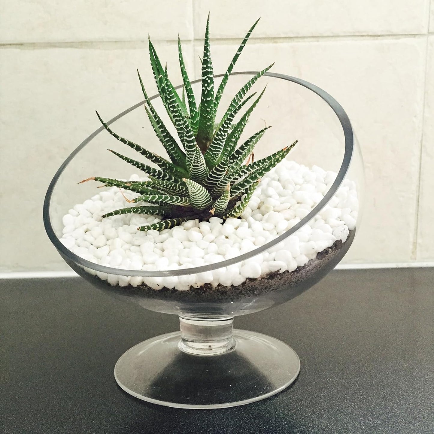 30 LB White Pebbles for Plants, 3/8 inch White Rocks for Vases Landscaping, Small Decorative Stones for Indoor Outdoor, Polished