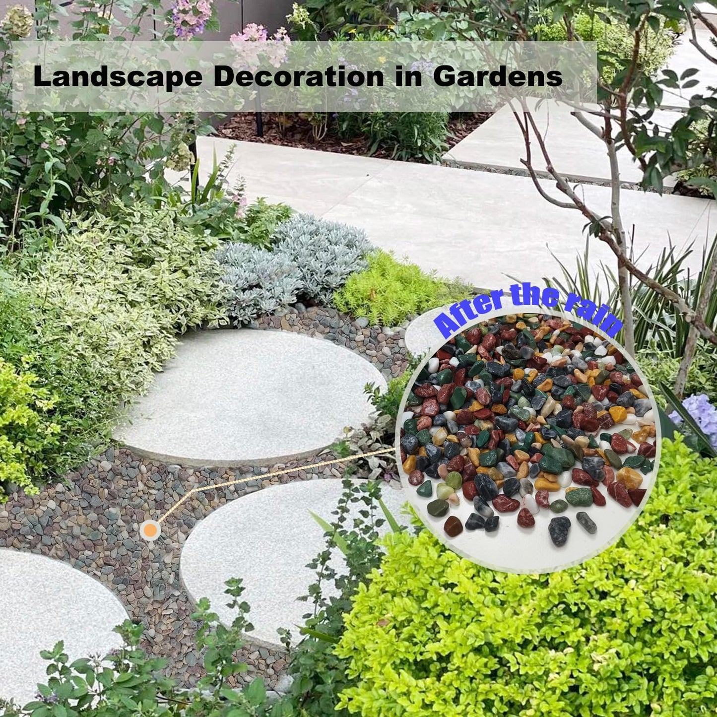 5LB Succulents Rocks for Plants Cactus Gravel Pebbles for Fish Tank 1/2 Inch Natural River Rocks for Vase, Aquarium, Landscaping,Bonsai,Terrarium Pebbles, Mixed Color