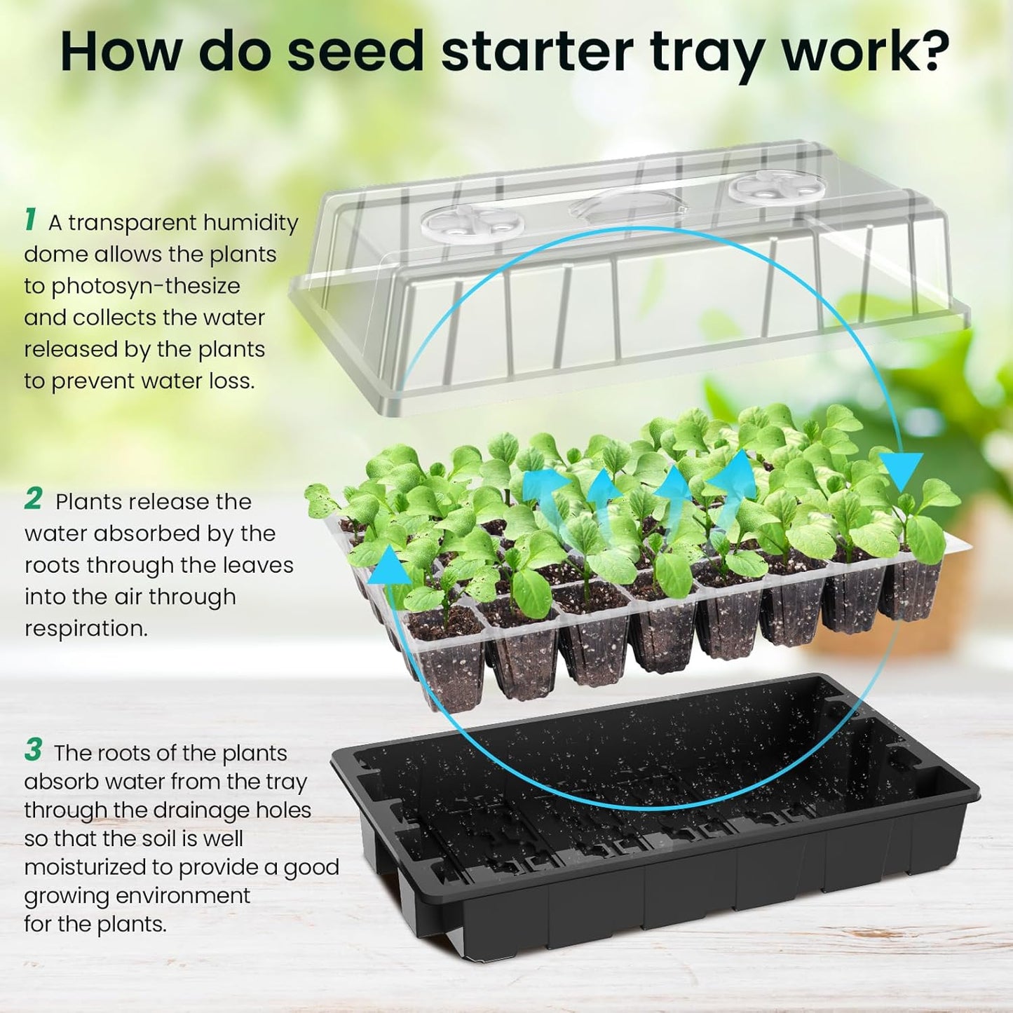 MIXC Seed Starter Tray with Lights, 2 Packs Mini Propagator Plant Grow Kit Greenhouse with Humidity Vented Domes and Base for Seeds Starting, Black
