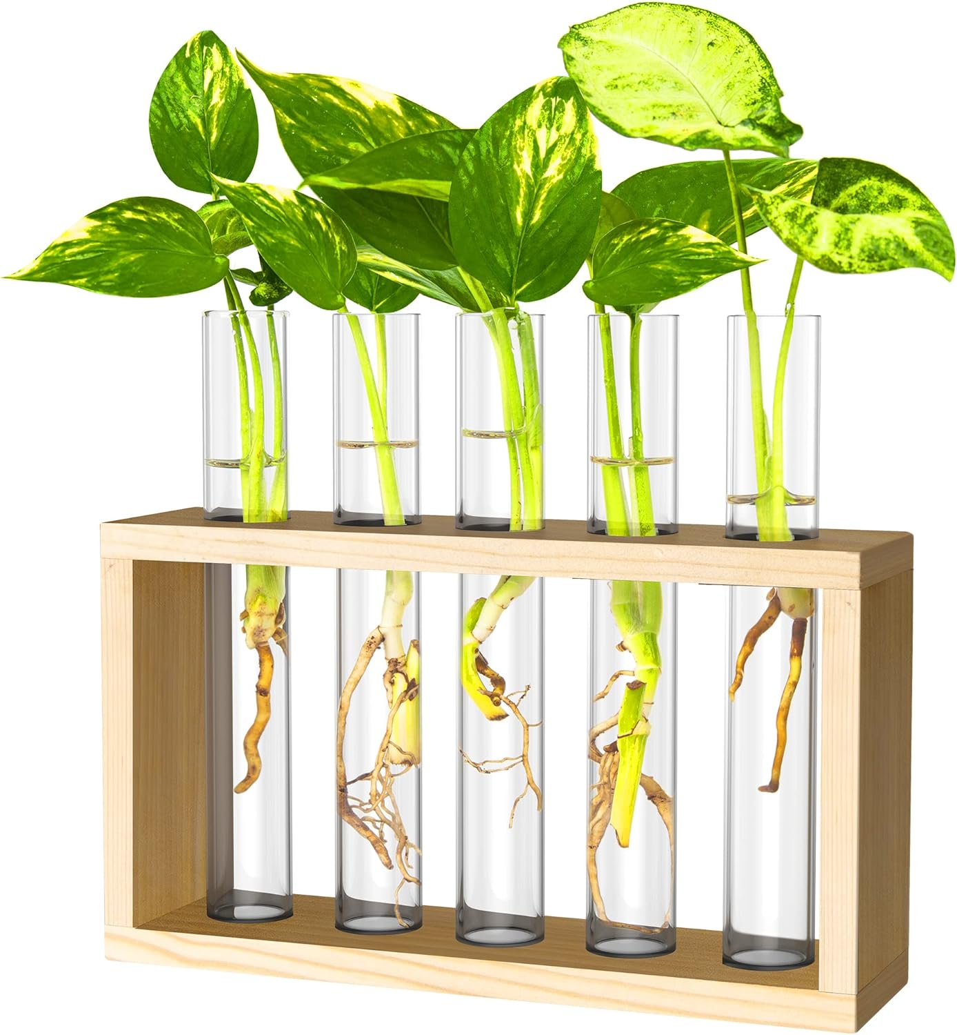 Ivolador Plant Propagation Station Terrariumin Wall Test Tube Vases Bud Tabletop Glass Wooden Stand with 5 Propagation Tubes for Propagating Hydroponic Plants Home Garden Wedding Decoration-Beige