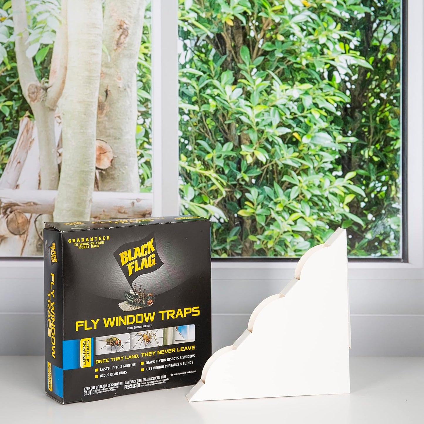 Black Flag, Fly Window Trap, 4-count, Clear