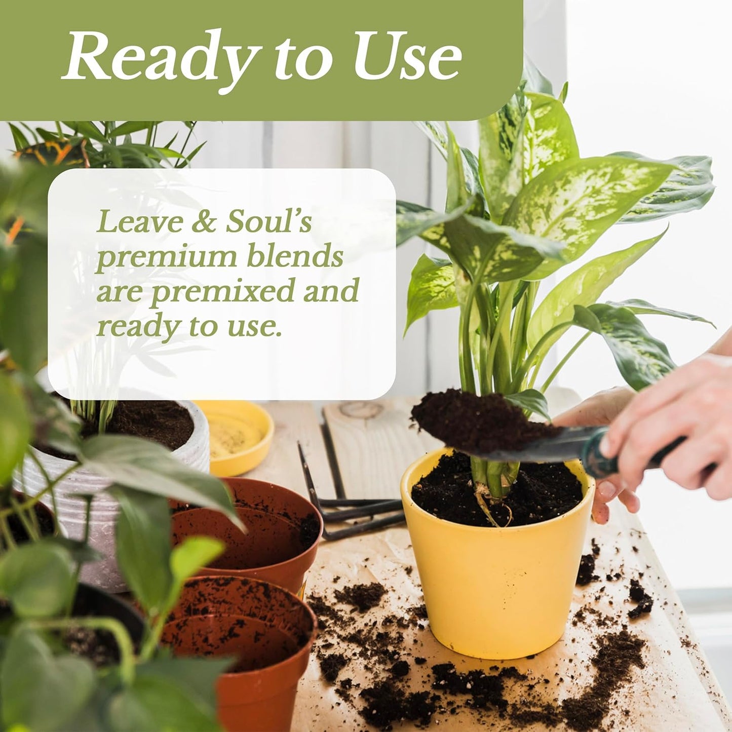 Indoor Plant Soil Premium All Purpose Blend | Large 2.2 Quarts | Ready to Use for Indoor Container and Houseplants | Peat, Coco Coir, Perlite, Dolomite | Made in USA