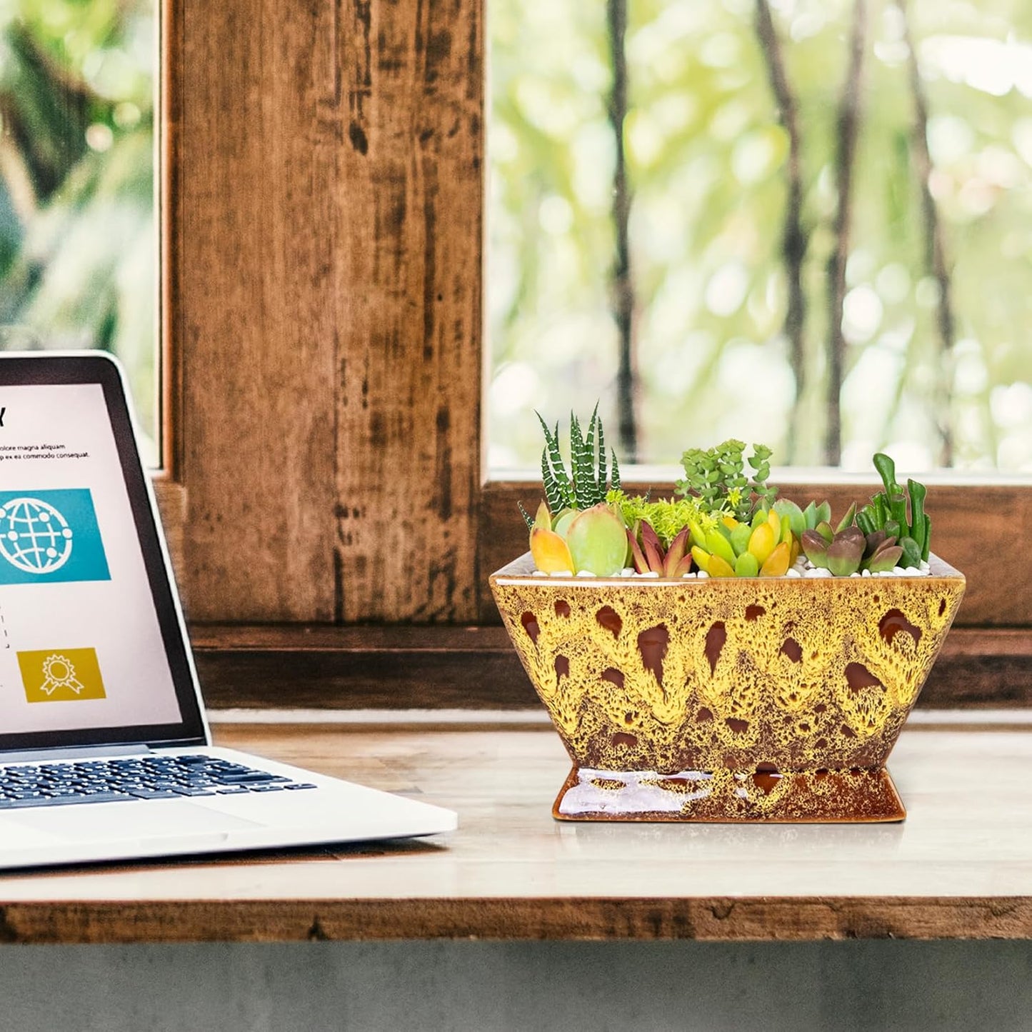 ARTKETTY Succulent Pots - 7 Inch Large Plant Pot with Drainage, Shallow Bonsai Pots Ceramic Succulent Planters for Indoor Outdoor Plants, Modern Cactus Pot Decorative Home Office