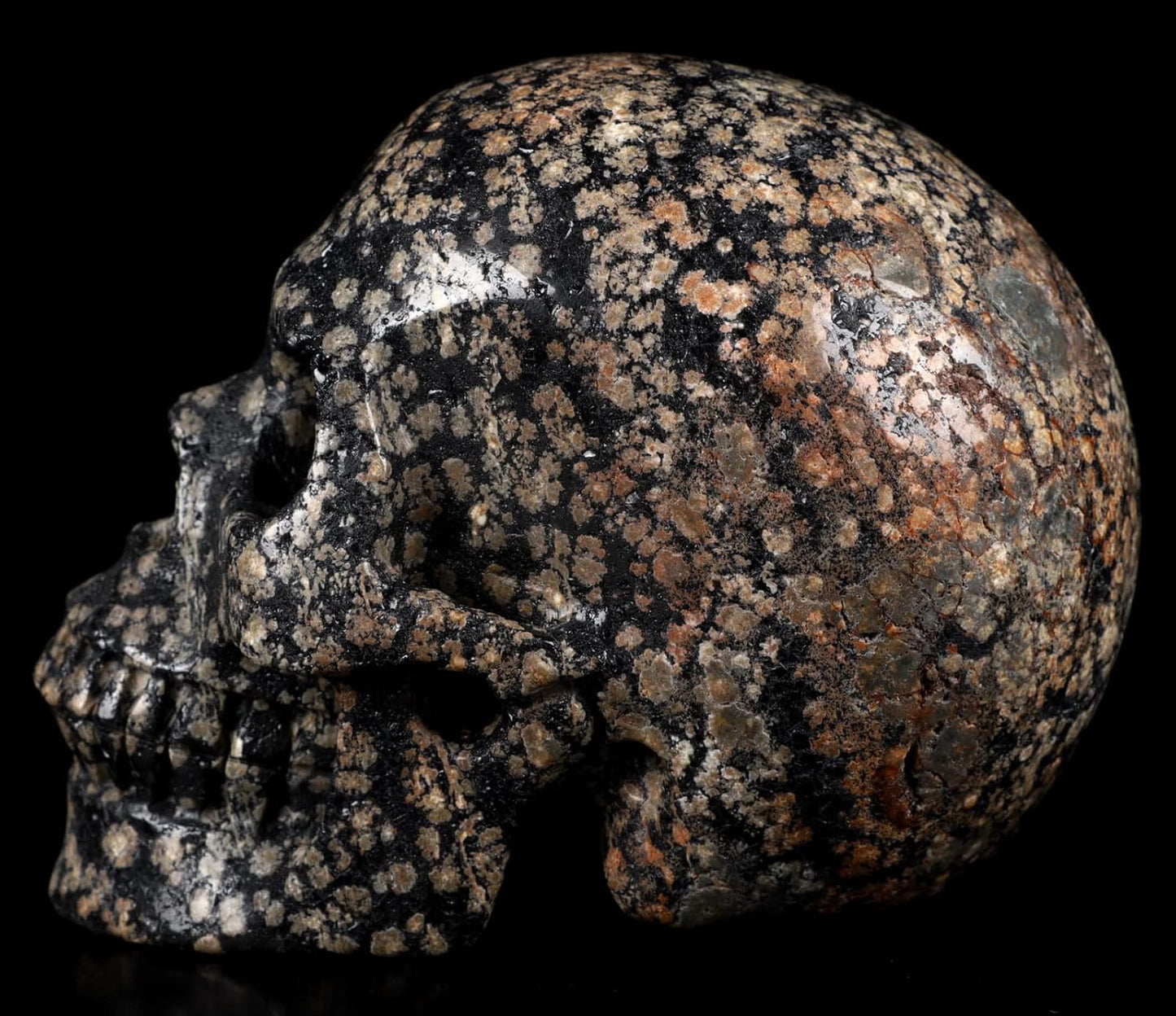 Skullis 5.0" Snowflake Obsidian Carved Crystal Skull, Hand Carved Gemstone Fine Art Sculpture, Reiki Healing Stone Statue.1397 Z8