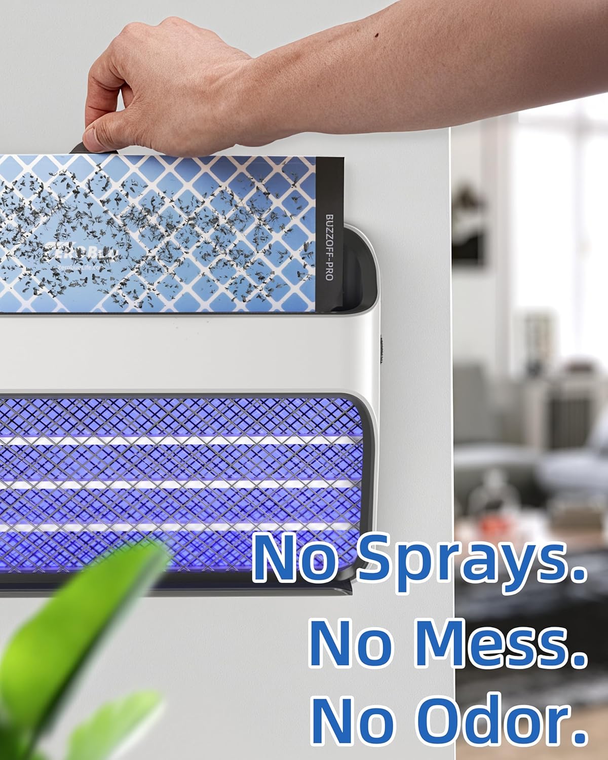 Sticky Fly Trap Refills 5-Pcs for BUZZOFF PRO Zapper, Fruit Fly Catcher Glue Boards for Indoor Use, Odourless, Mess-Free Insect Control