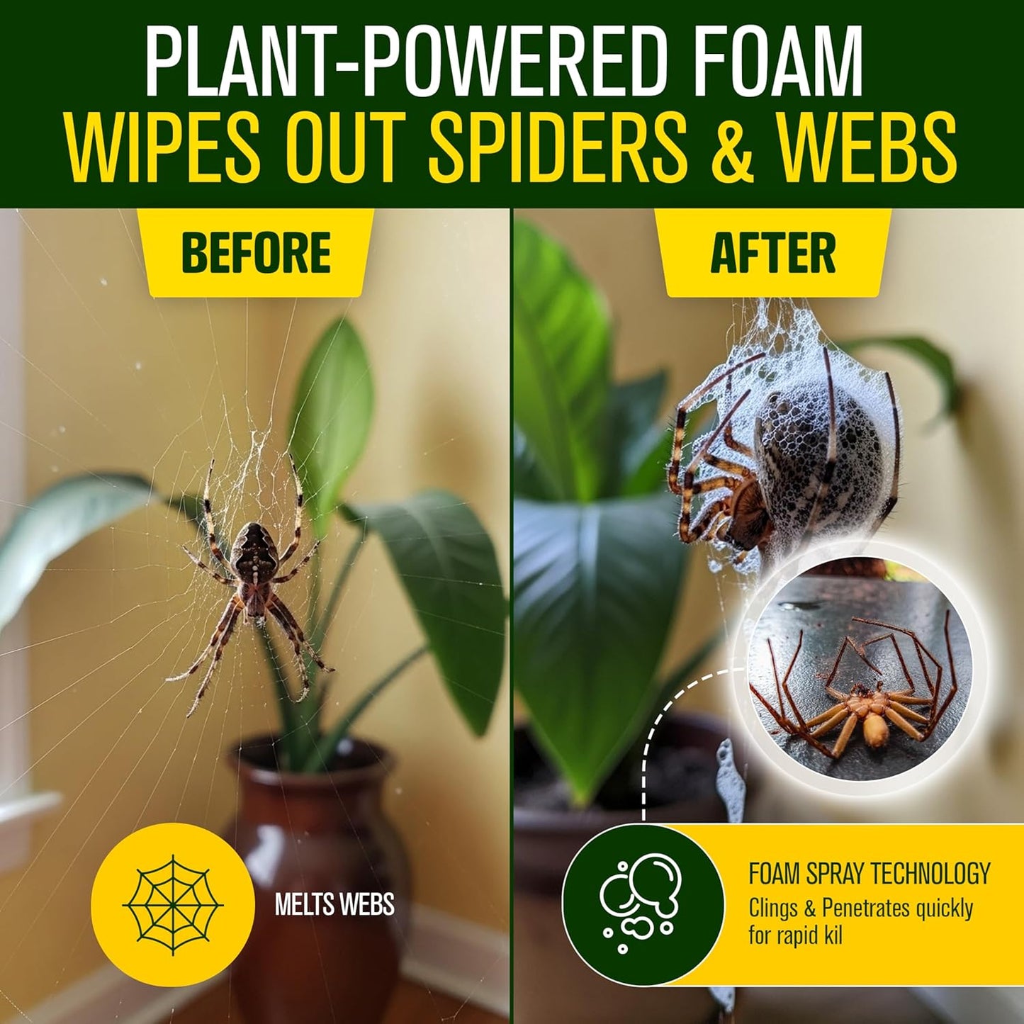 Green Guard Pest Control Spray - Indoor & Outdoor Killer of Ants, Roaches, Spiders & Other Crawling Insects, Safe Around Children & Pets, Plant-Based, Pleasant Scent (Citro Force, 32oz)