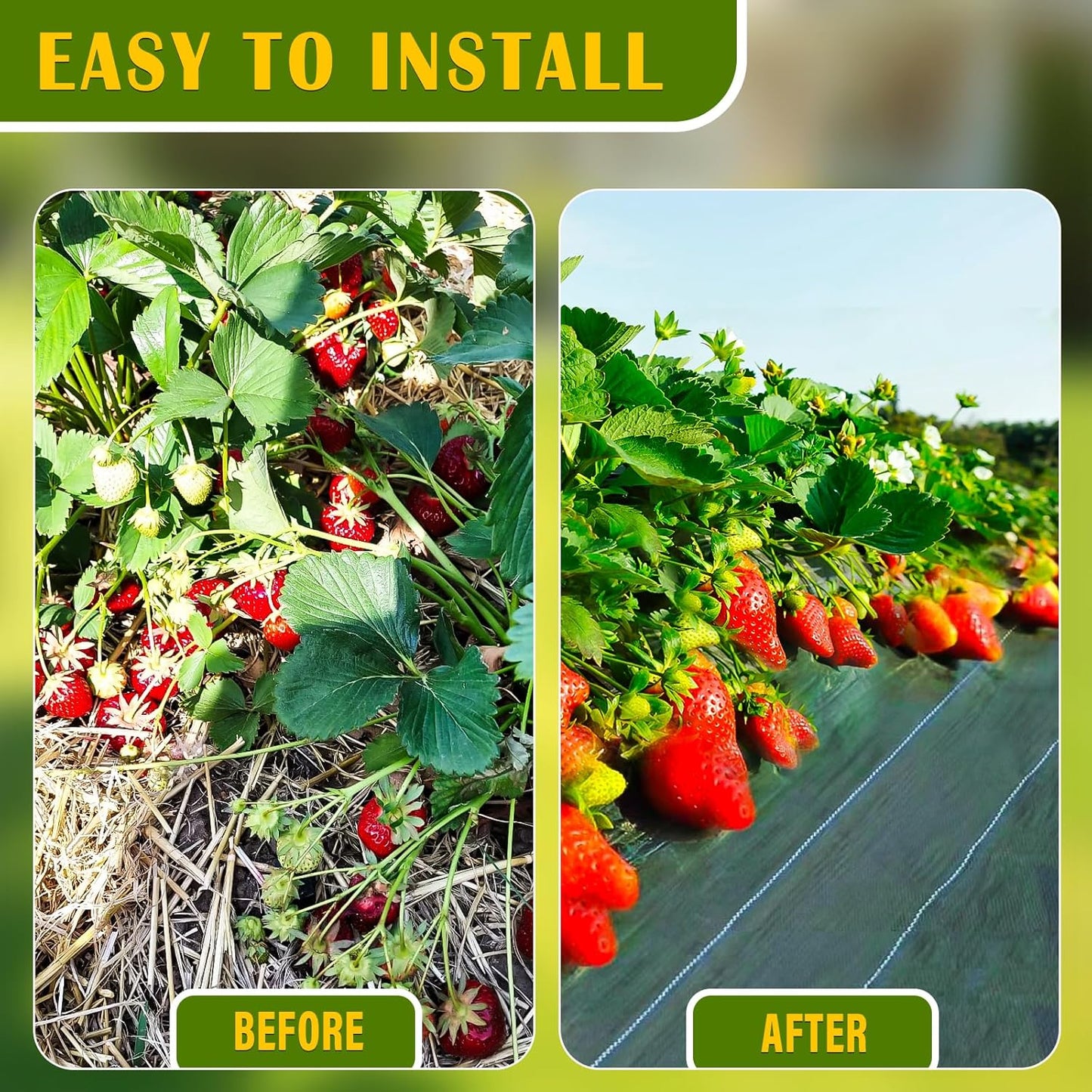 KAKO Weed Barrier Fabric 3Ft x 200Ft, Garden Weed Barrier Fabric, Weed Barrier Landscape Fabric, Garden Fabric Weed Barrier Weed Cloth for Garden Fabric, Landscaping Fabric, Driveway Fabric