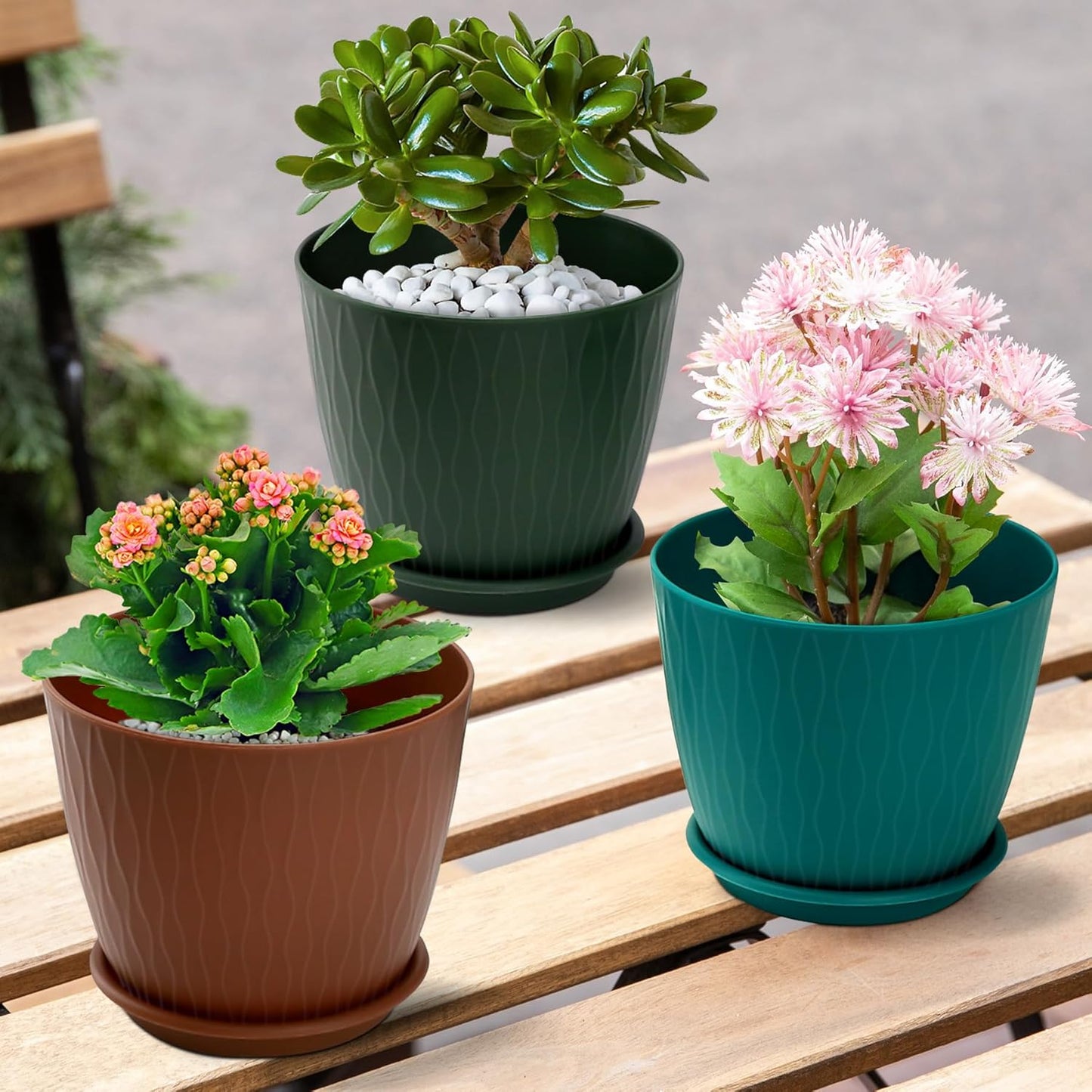 Plant Pots – 6 Inch Planters with Drainage Holes and Saucers, Flower Pots for Indoor and Outdoor Plants, Nursery Planting Pots (Pack of 5, Multicolor)