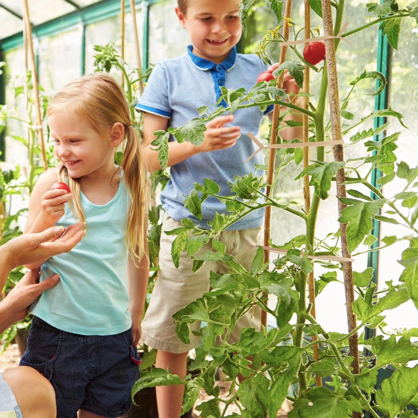 1000 Pcs Twist Ties, Kraft Paper Twist Ties Plant Ties Reusable Bread Ties for Party Cello Candy Coffee Treat Bags Cake Pops (13.8'')