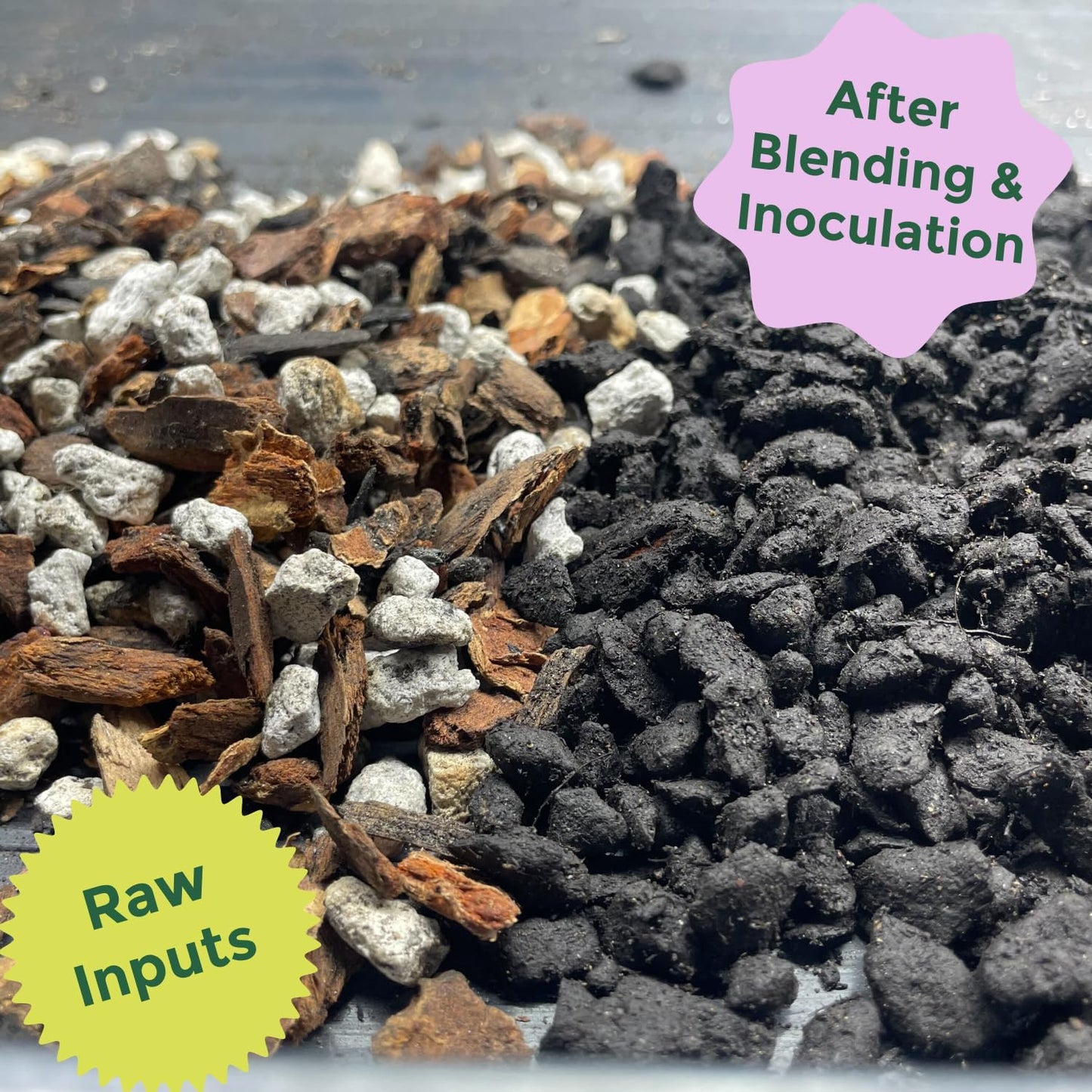 Rosy Soil Cactus and Succulent Potting Soil Mix for Houseplants - Fast Draining Organic Potting Soil for Succulents, AloeVera, Indoor Plant - Root Boosting for Drought Tolerant Growth, Pack of 2