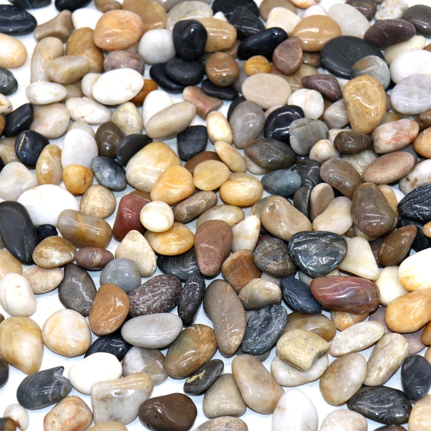 Rocks for Plants. Mixed Color Polished Decorative Pebbles. 0.5 to 1 Inch 18 lbs. for Garden, Landscaping, Indoor, Vase fillers, Crafting, Succulents, pots, Plants