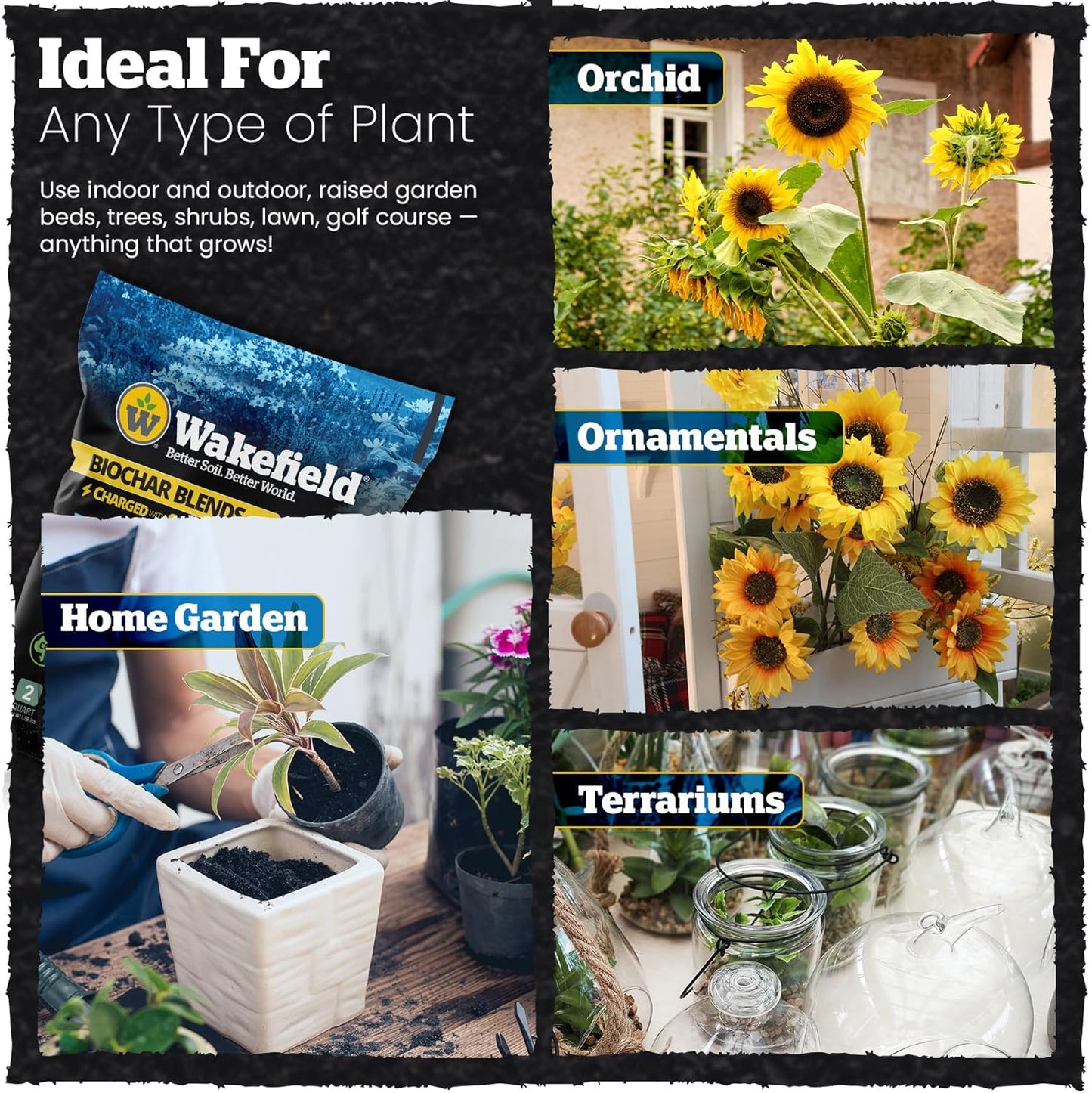 Wakefield Premium Indoor Potting Soil - Professional Biochar & Probiotics with CarbonBoost Technology - Ultimate Organic Potting Mix for Indoor & Outdoor Plants, Succulents & House Plants - 2Quarts